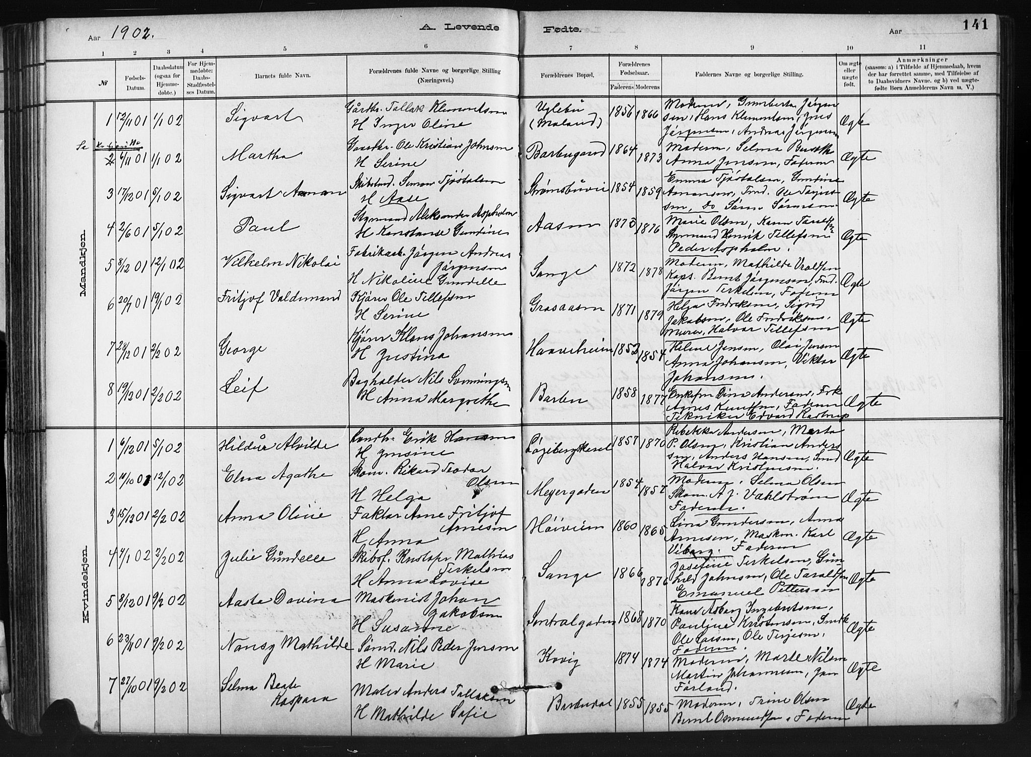 Barbu sokneprestkontor, AV/SAK-1111-0003/F/Fb/L0002: Parish register (copy) no. B 2, 1890-1922, p. 141