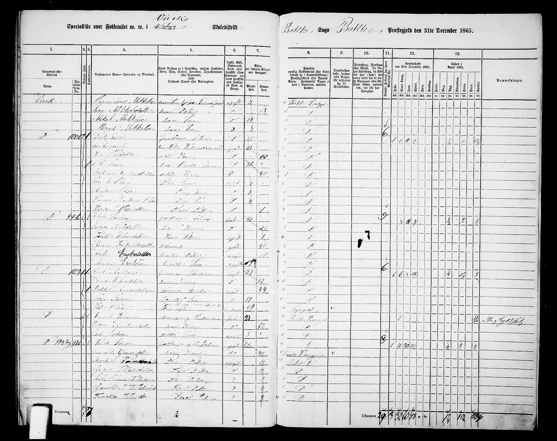 RA, 1865 census for Bakke, 1865, p. 114