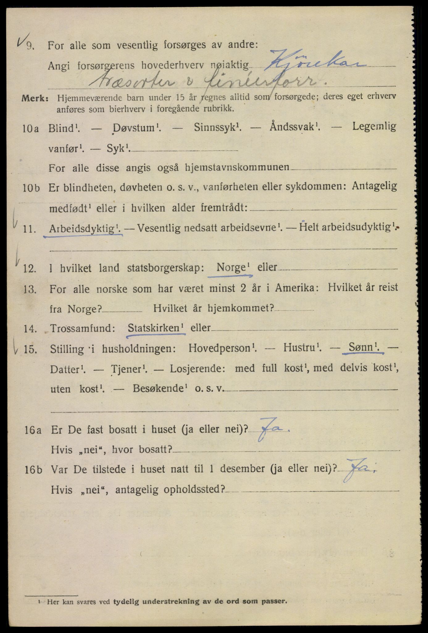 SAO, 1920 census for Kristiania, 1920, p. 658392