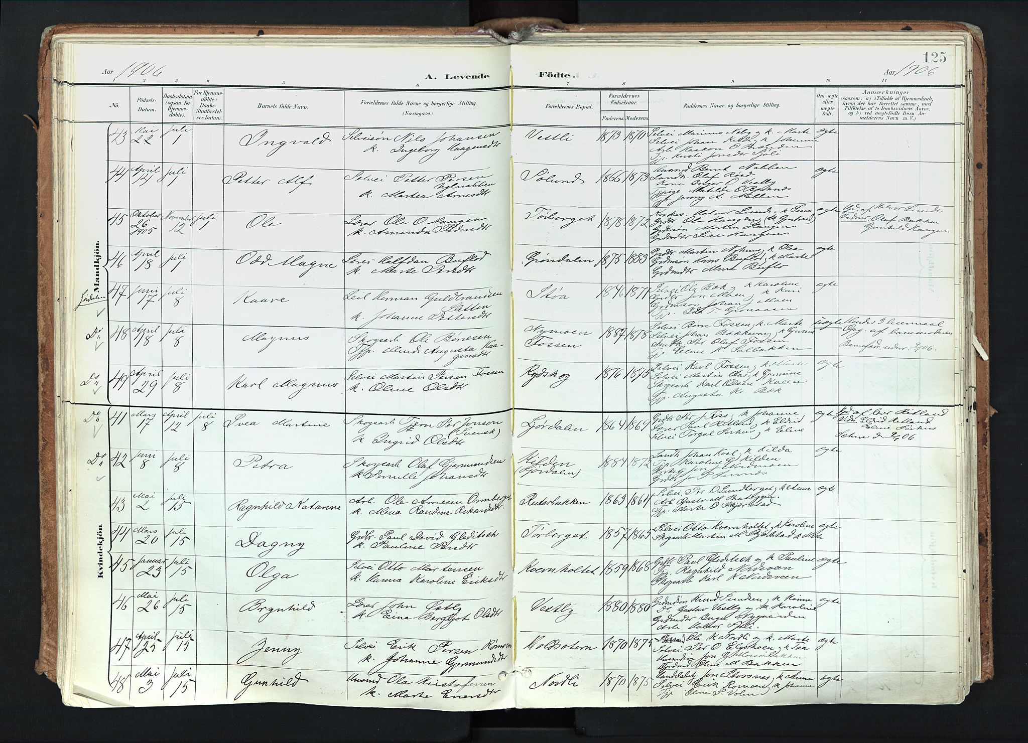 Trysil prestekontor, AV/SAH-PREST-046/H/Ha/Haa/L0012: Parish register (official) no. 12, 1898-1917, p. 125