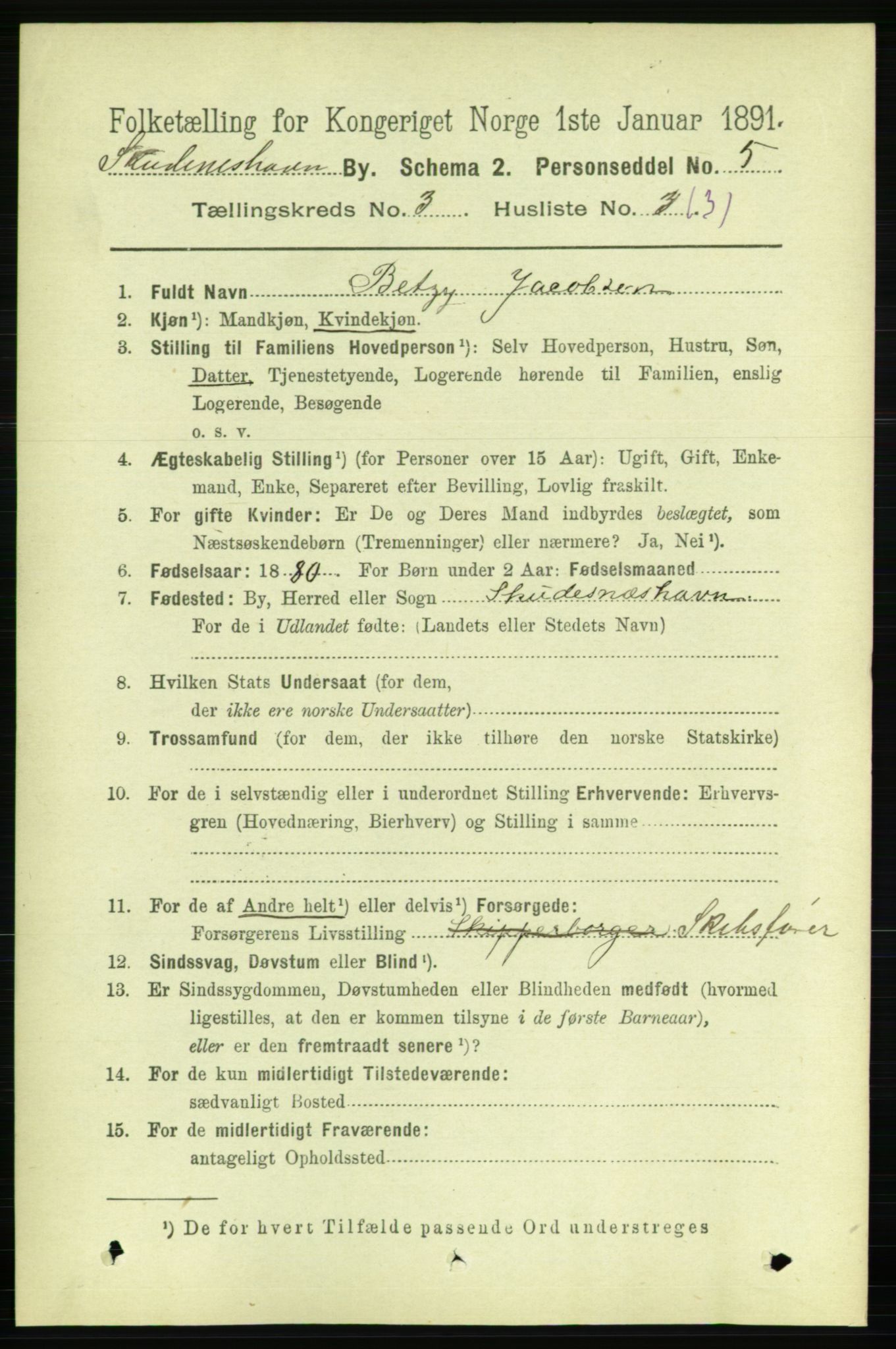 RA, 1891 census for 1104 Skudeneshavn, 1891, p. 976