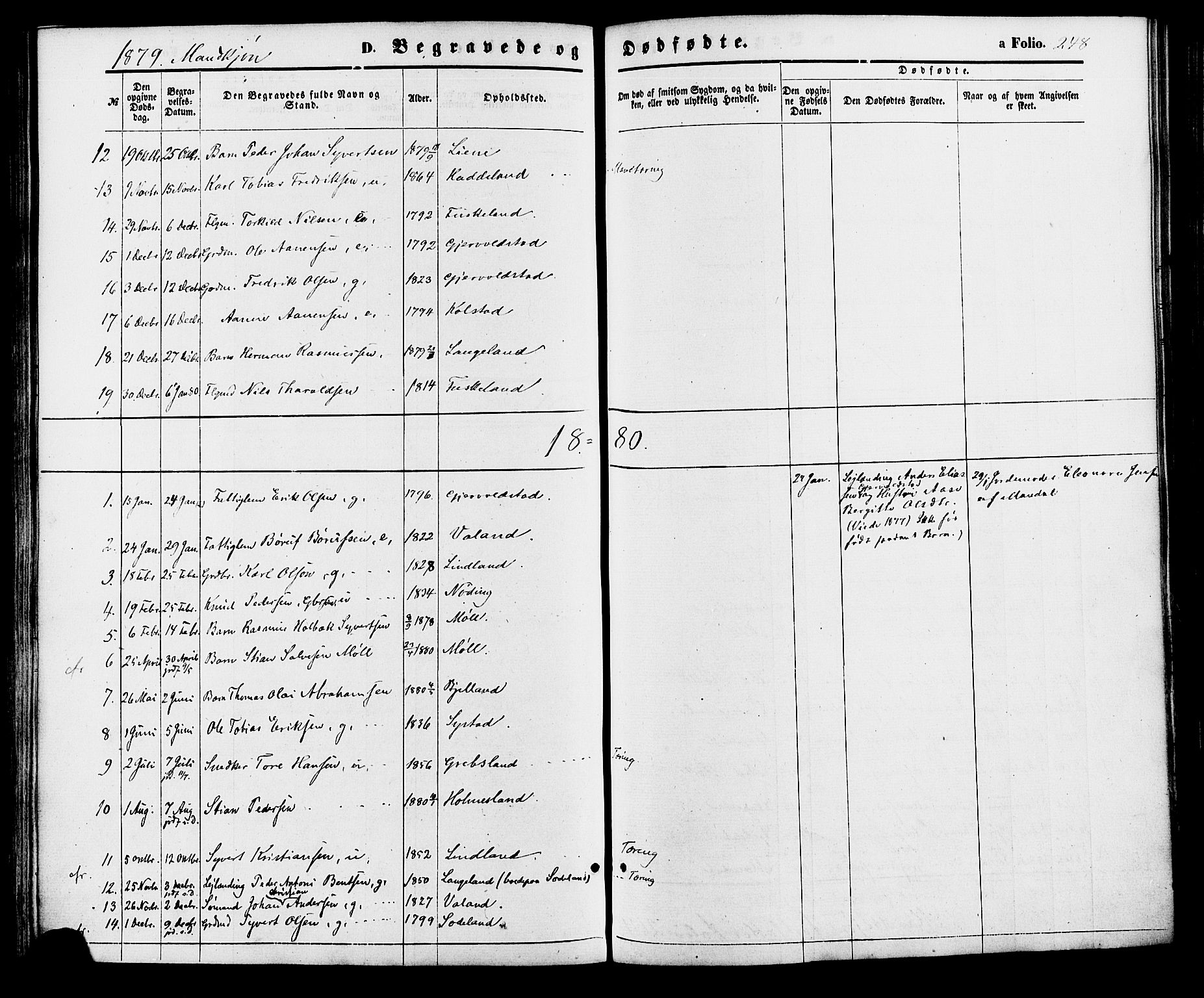 Holum sokneprestkontor, AV/SAK-1111-0022/F/Fa/Faa/L0006: Parish register (official) no. A 6, 1865-1883, p. 248