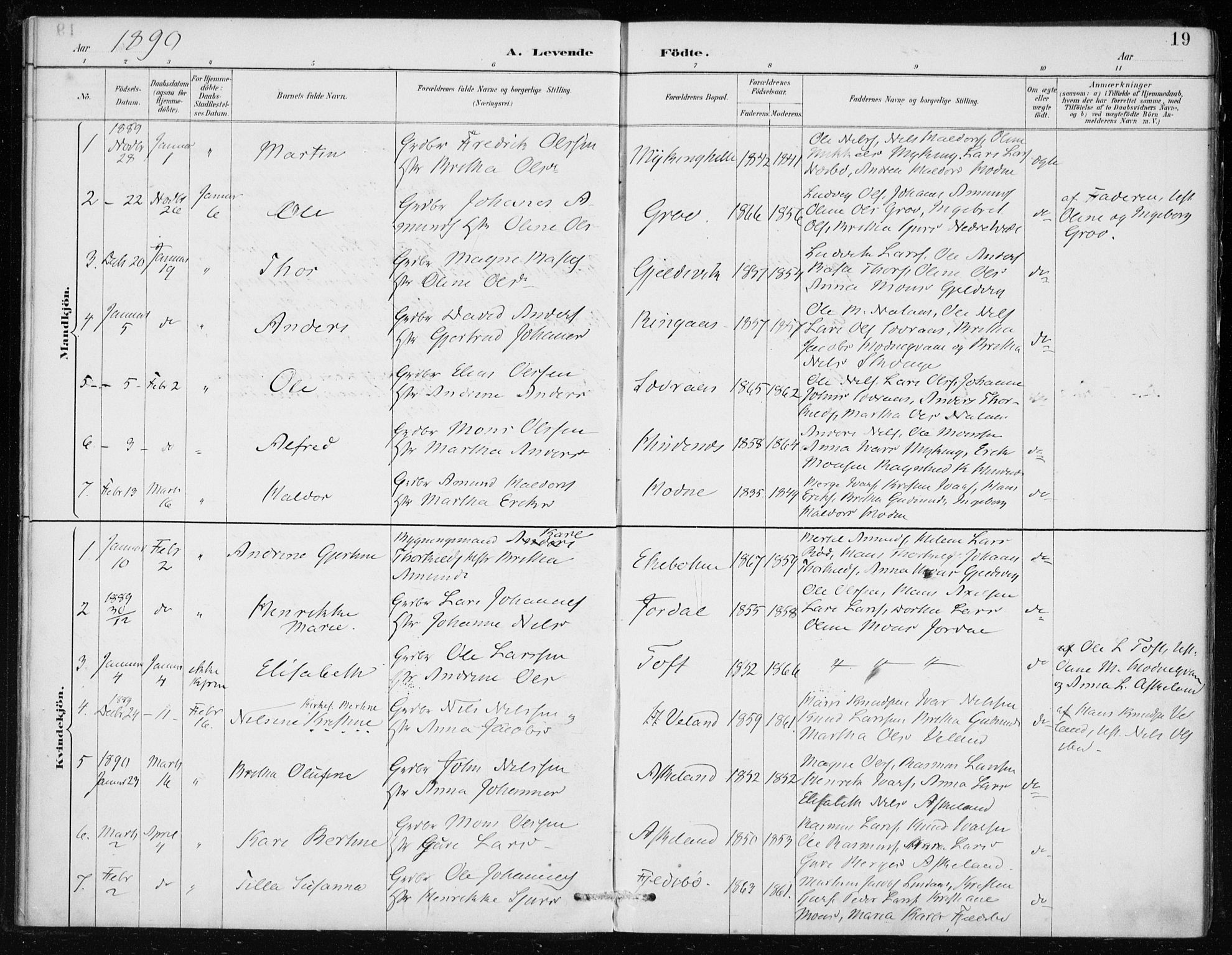 Lindås Sokneprestembete, SAB/A-76701/H/Haa: Parish register (official) no. F  1, 1886-1897, p. 19