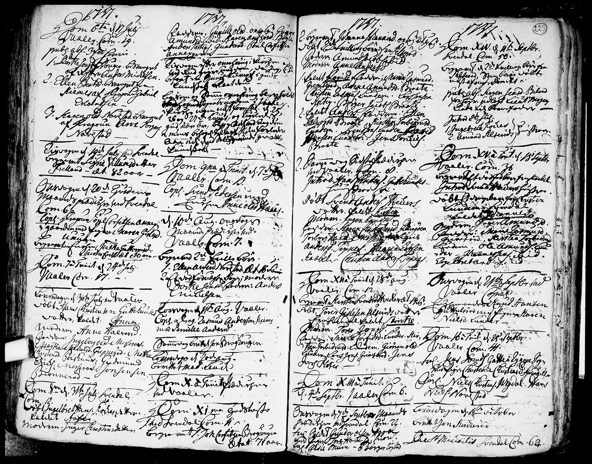 Våler prestekontor Kirkebøker, AV/SAO-A-11083/F/Fa/L0003: Parish register (official) no. I 3, 1730-1770, p. 229