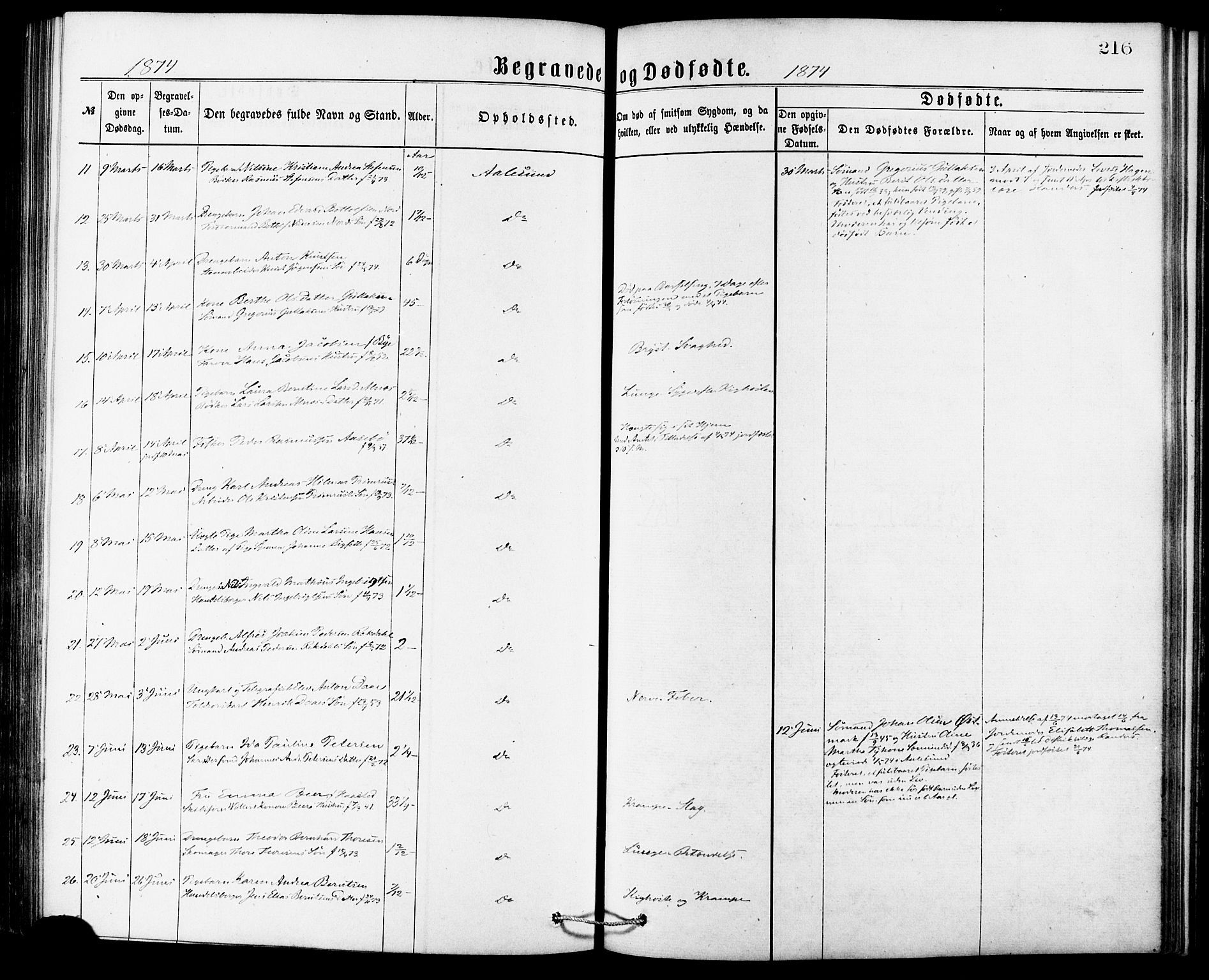 Ministerialprotokoller, klokkerbøker og fødselsregistre - Møre og Romsdal, AV/SAT-A-1454/529/L0453: Parish register (official) no. 529A03, 1872-1877, p. 216