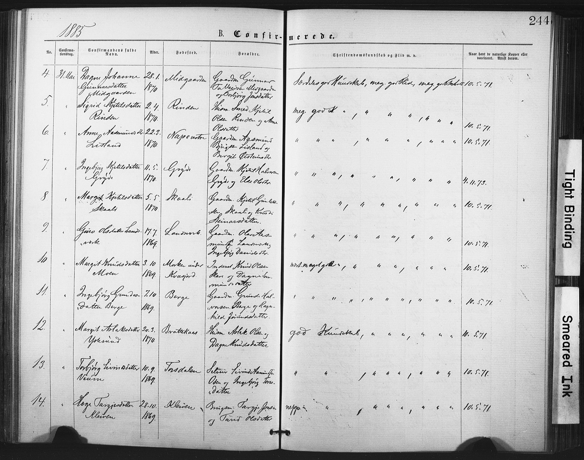 Fyresdal kirkebøker, SAKO/A-263/F/Fa/L0006: Parish register (official) no. I 6, 1872-1886, p. 244