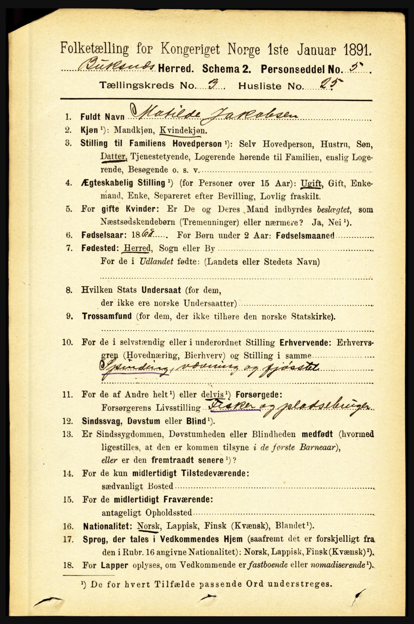 RA, 1891 census for 1860 Buksnes, 1891, p. 2356