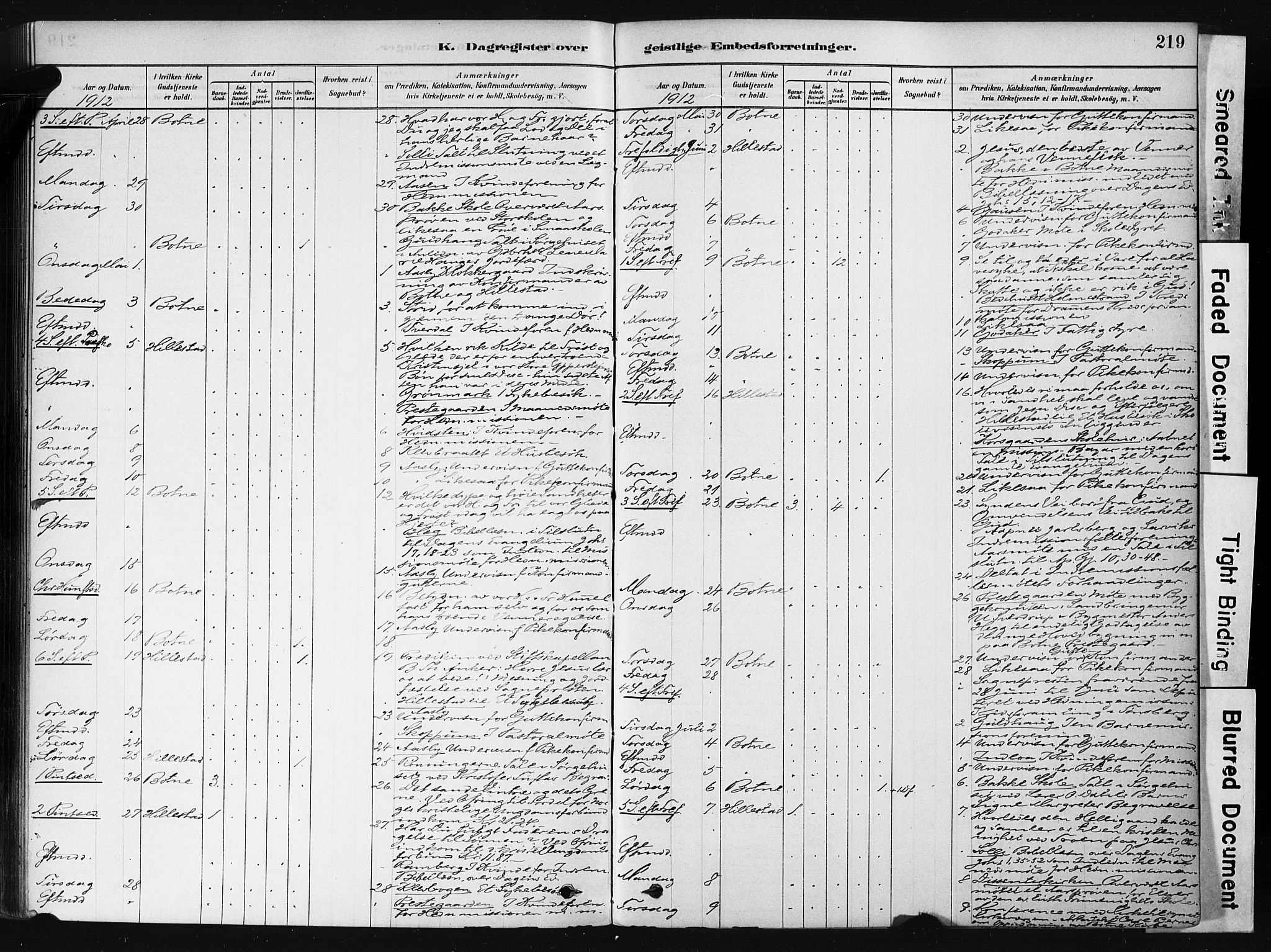 Botne kirkebøker, SAKO/A-340/F/Fb/L0001: Parish register (official) no. II 1, 1878-1902, p. 219