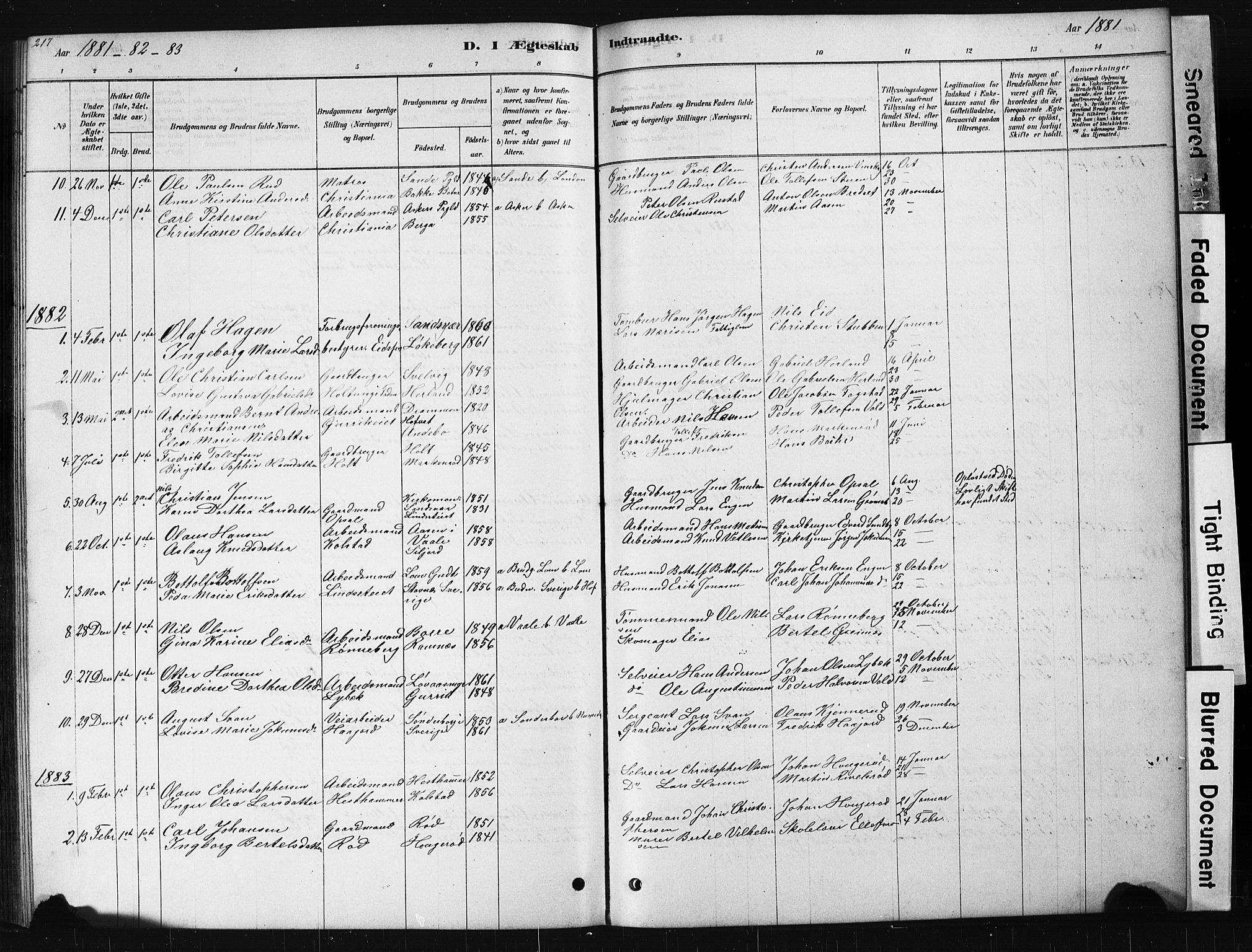 Hof kirkebøker, AV/SAKO-A-64/G/Ga/L0004: Parish register (copy) no. I 4, 1878-1930, p. 217