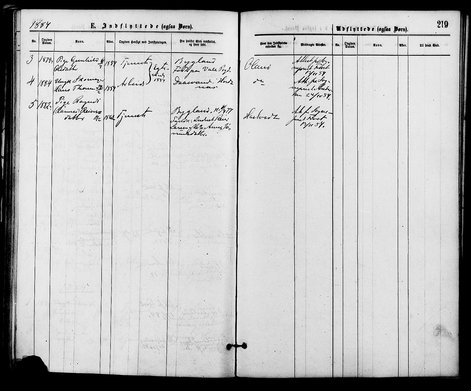 Åmli sokneprestkontor, AV/SAK-1111-0050/F/Fa/Fac/L0009: Parish register (official) no. A 9 /2, 1869-1884, p. 219