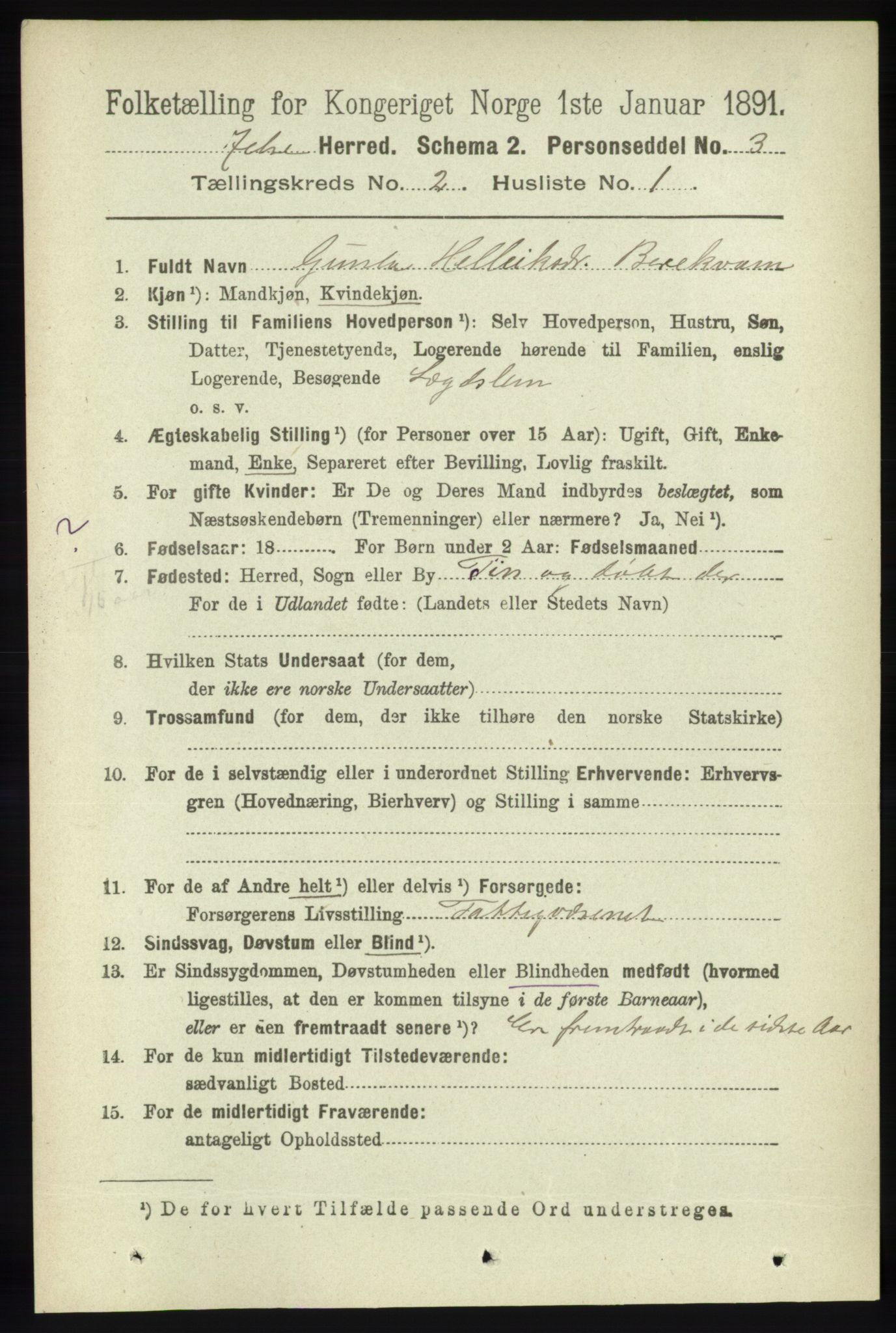 RA, 1891 census for 1138 Jelsa, 1891, p. 249