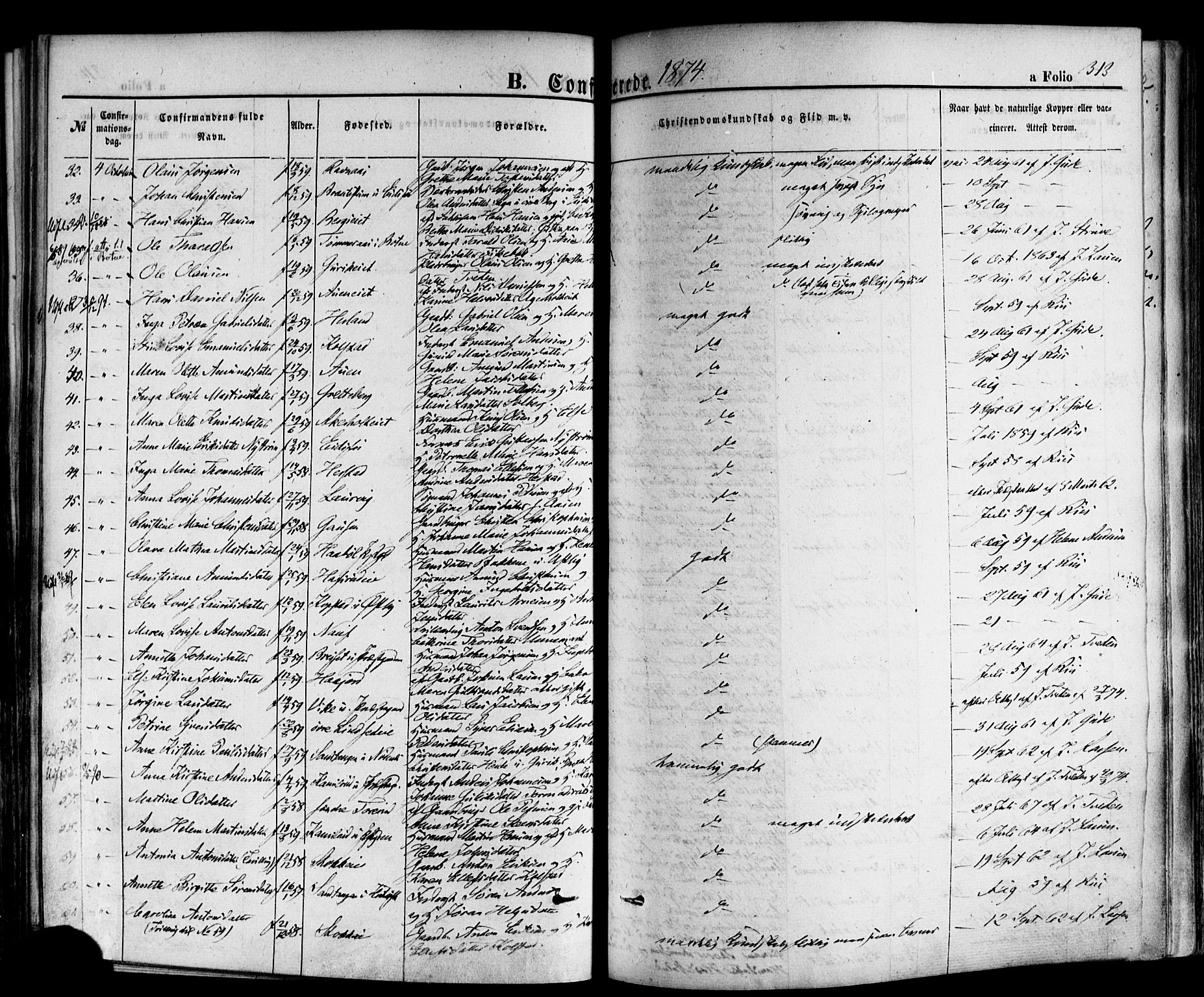 Hof kirkebøker, AV/SAKO-A-64/F/Fa/L0006: Parish register (official) no. I 6, 1851-1877, p. 313
