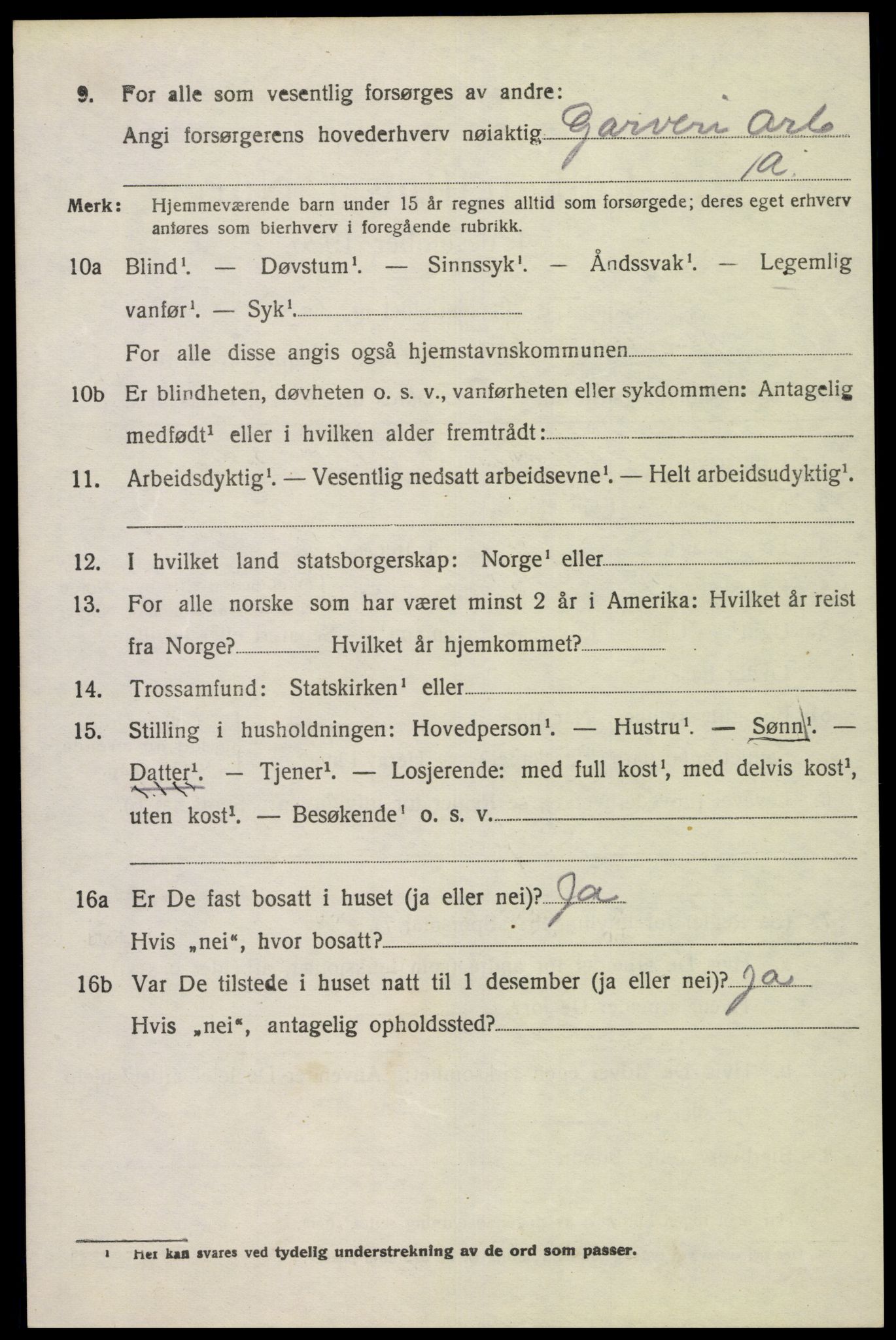 SAK, 1920 census for Nes (V-A), 1920, p. 4231