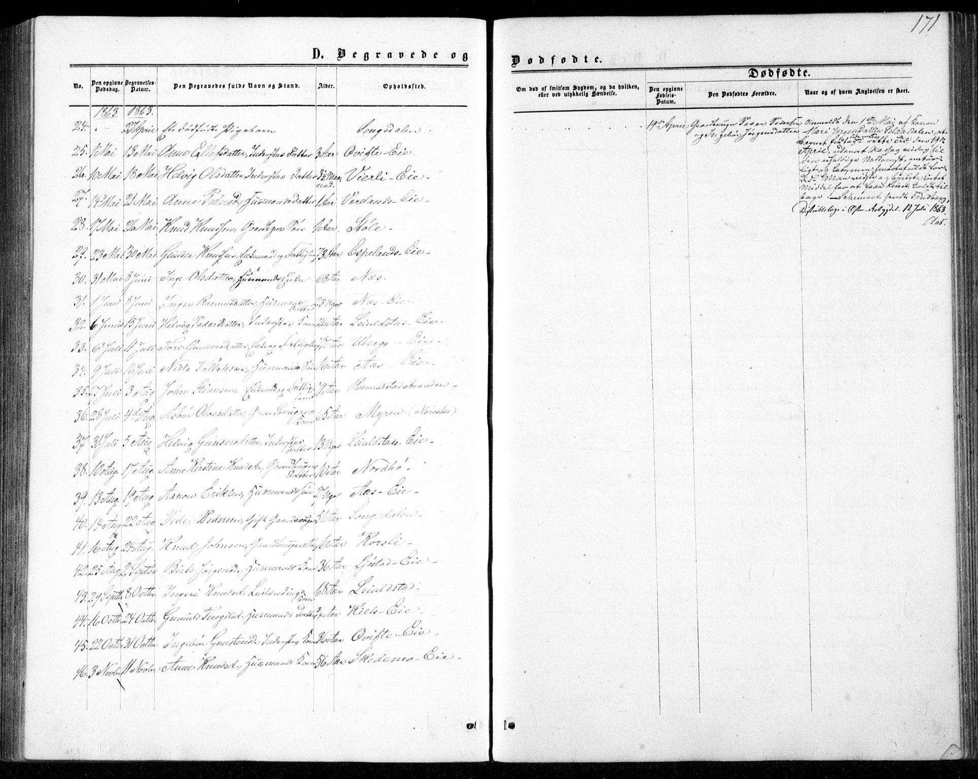 Gjerstad sokneprestkontor, SAK/1111-0014/F/Fb/Fbb/L0003: Parish register (copy) no. B 3, 1862-1889, p. 171