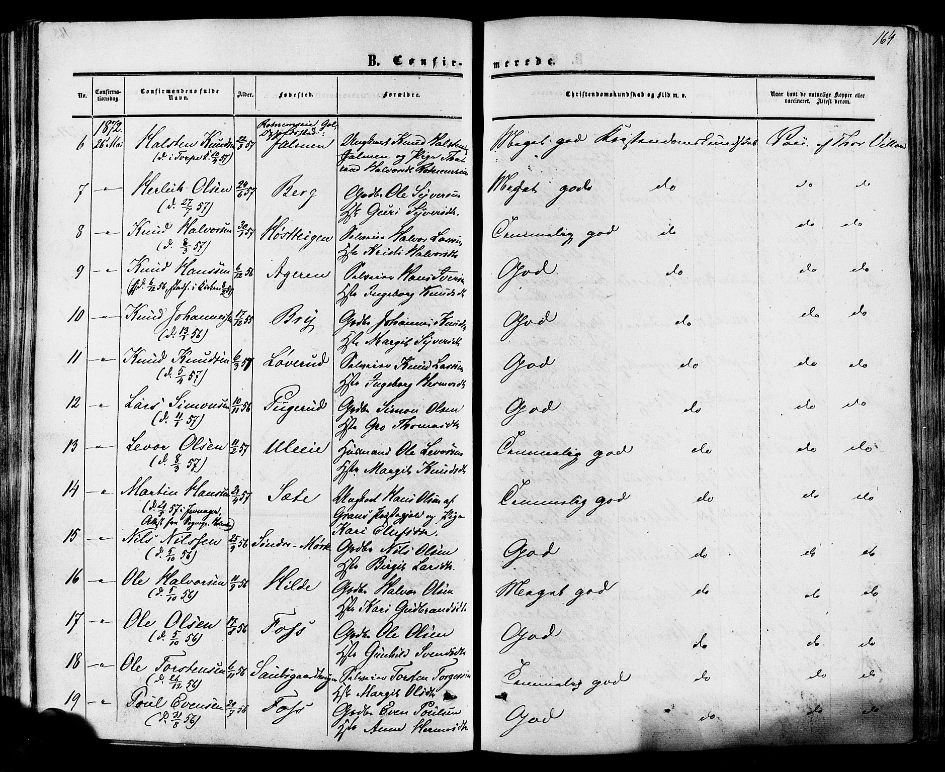 Hol kirkebøker, SAKO/A-227/F/Fa/L0002: Parish register (official) no. I 2, 1870-1886, p. 164
