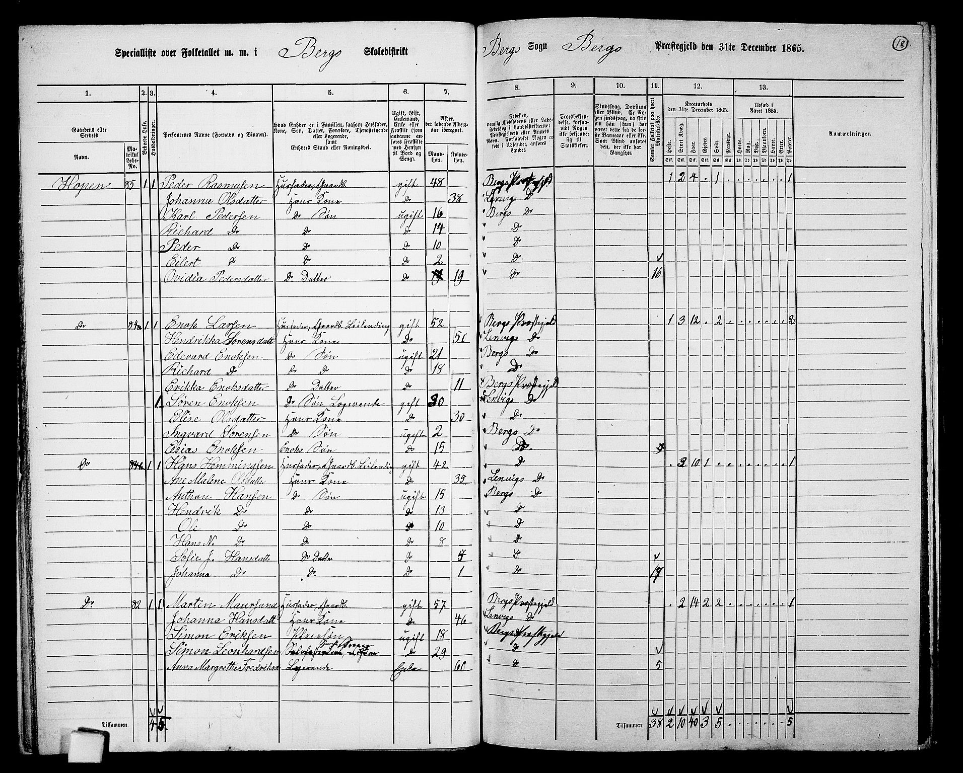 RA, 1865 census for Berg, 1865, p. 19