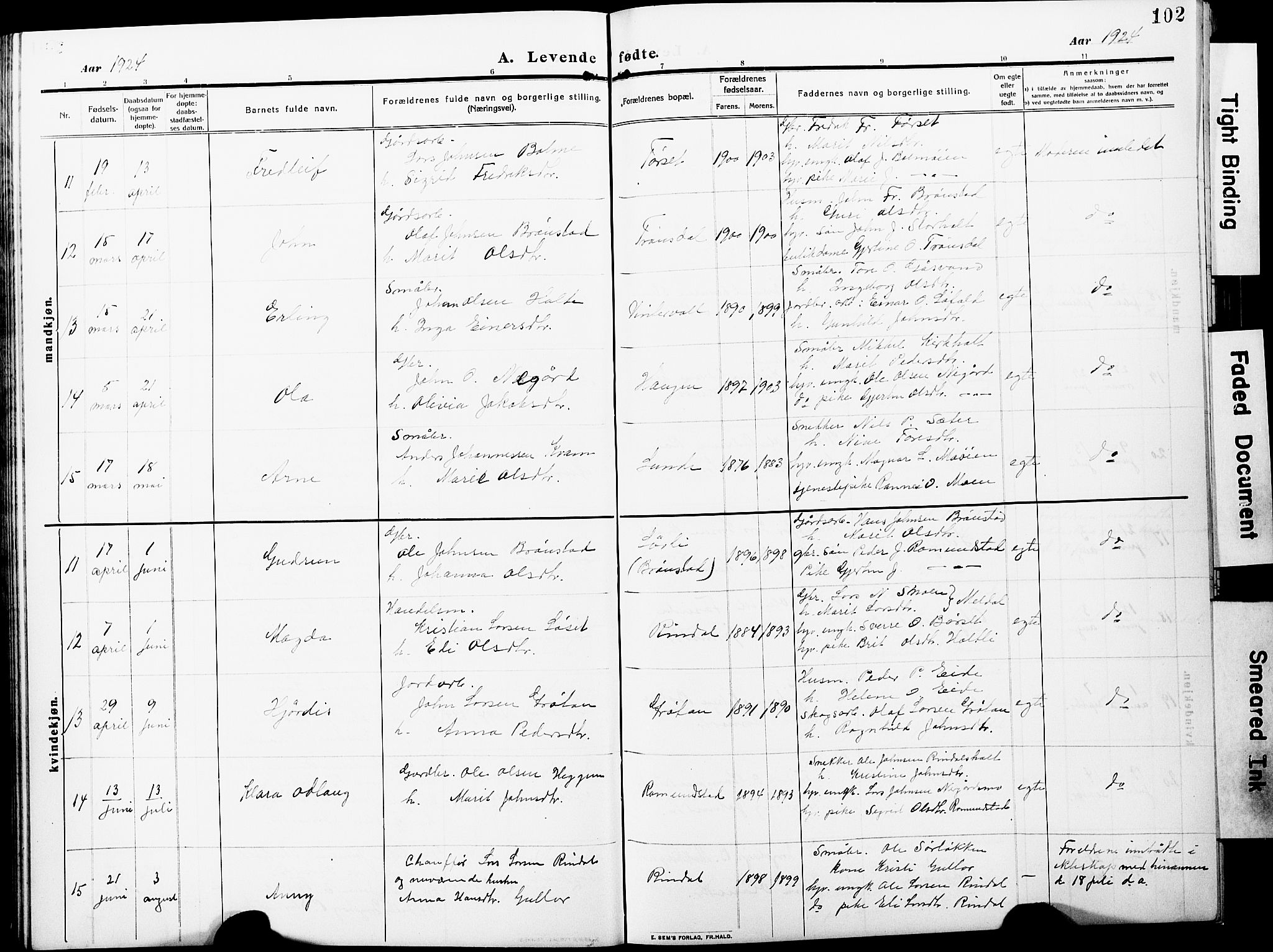 Ministerialprotokoller, klokkerbøker og fødselsregistre - Møre og Romsdal, AV/SAT-A-1454/598/L1079: Parish register (copy) no. 598C04, 1909-1927, p. 102