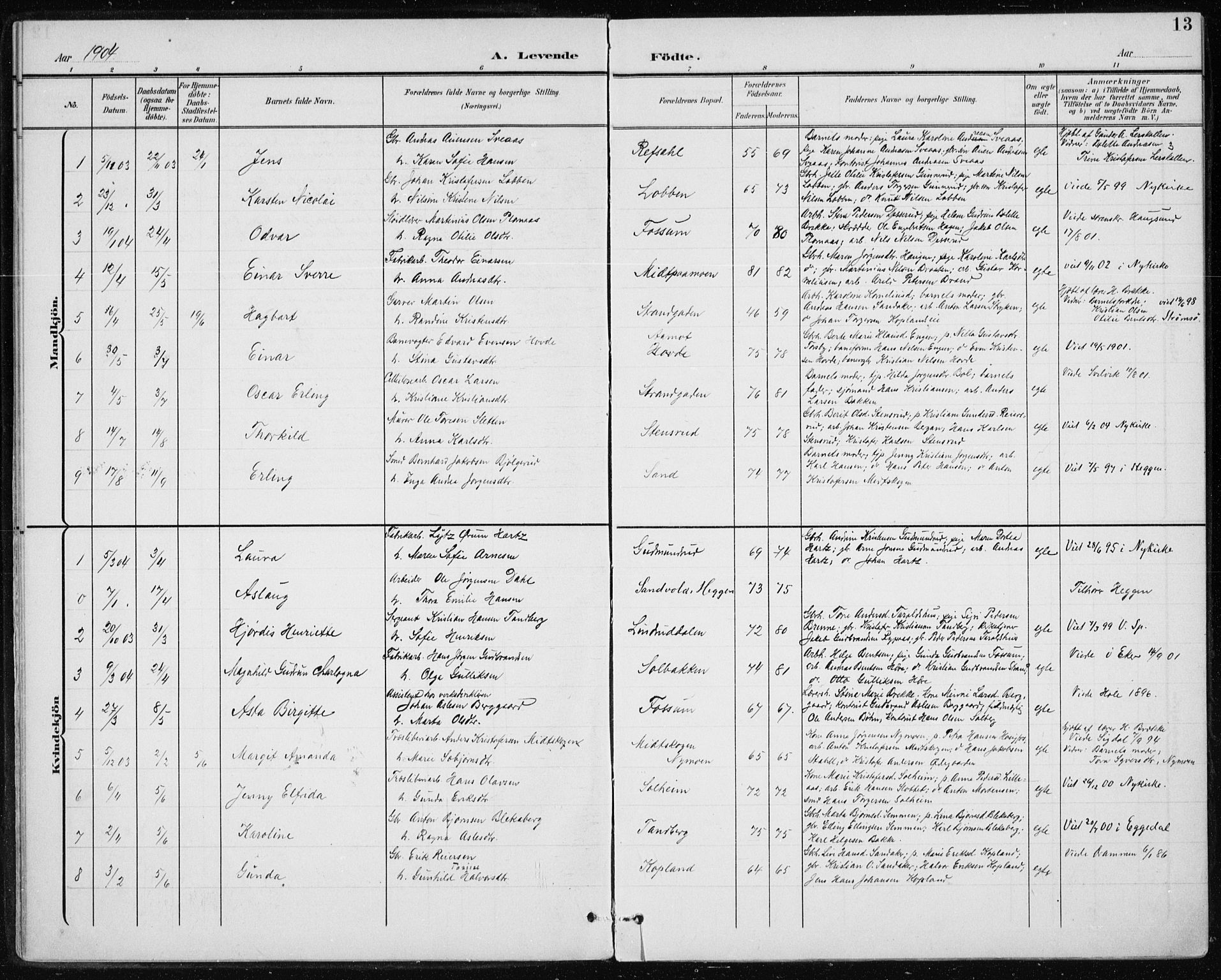 Modum kirkebøker, AV/SAKO-A-234/F/Fa/L0017: Parish register (official) no. 17, 1900-1915, p. 13