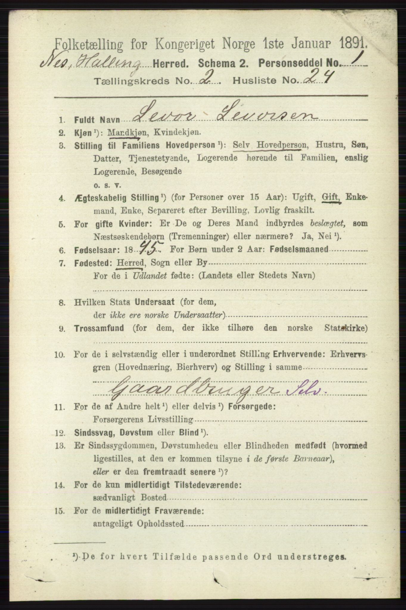 RA, 1891 census for 0616 Nes, 1891, p. 1108