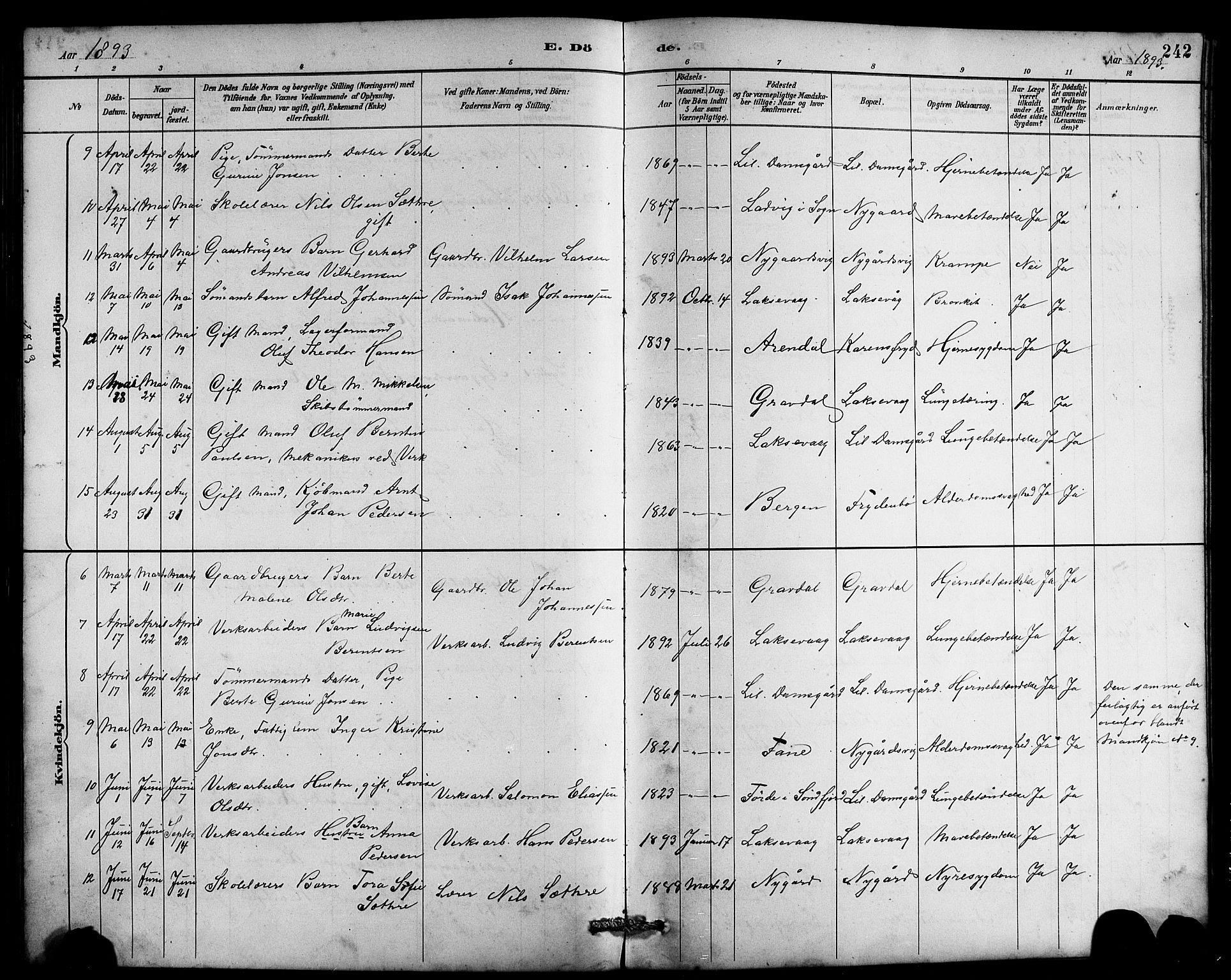 Laksevåg Sokneprestembete, SAB/A-76501/H/Ha/Hab/Haba/L0003: Parish register (copy) no. A 3, 1887-1899, p. 242