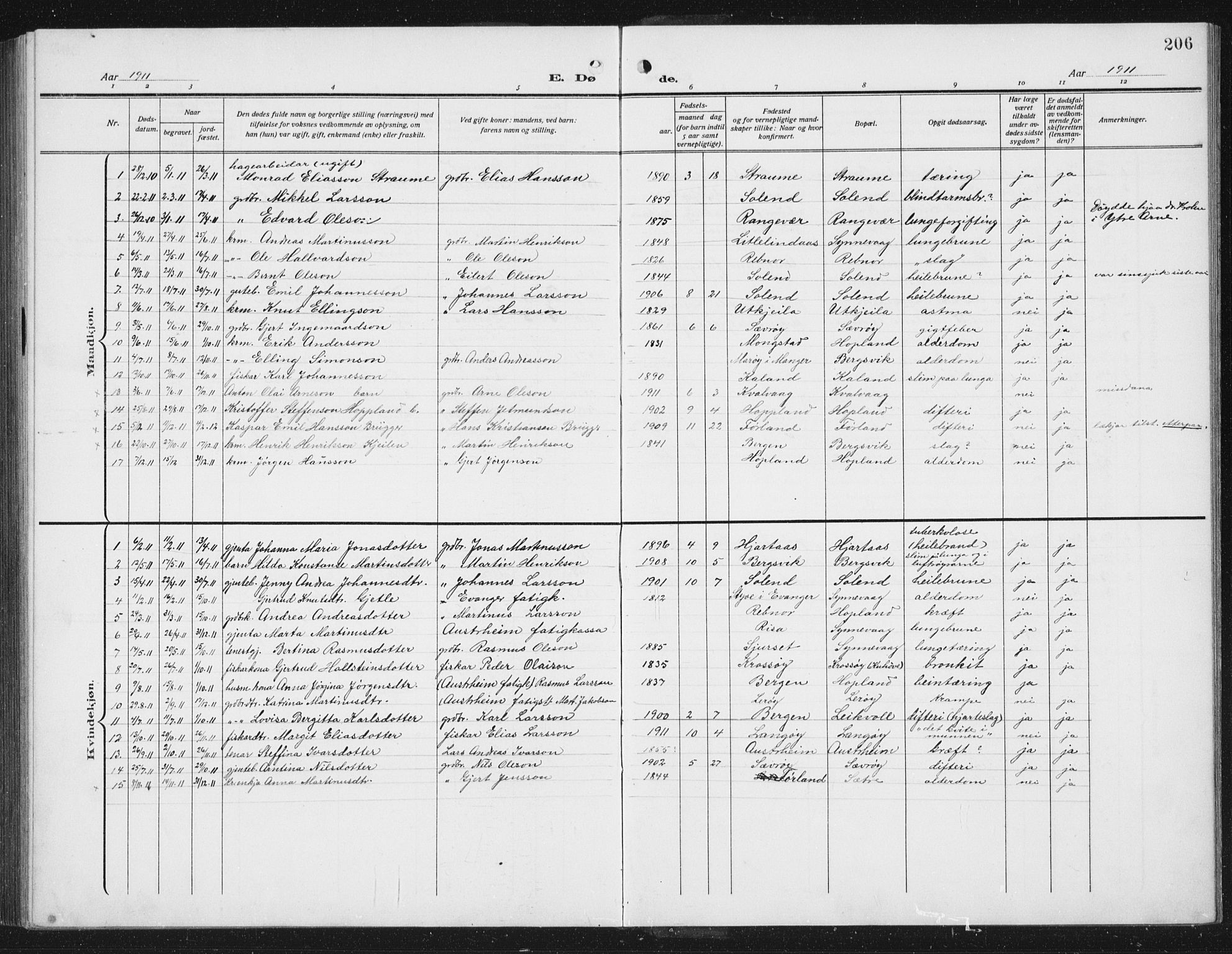 Lindås Sokneprestembete, AV/SAB-A-76701/H/Hab/Habc/L0005: Parish register (copy) no. C 5, 1910-1927, p. 206