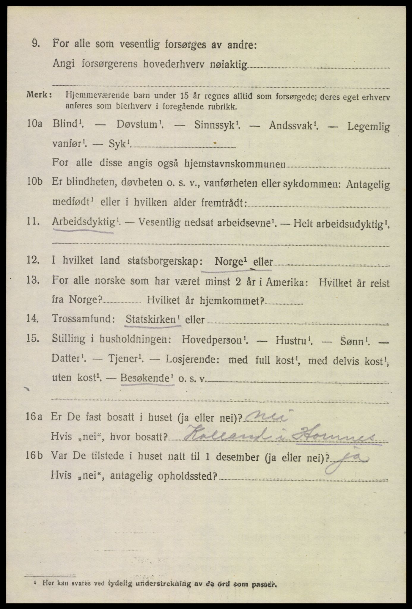 SAK, 1920 census for Hornnes, 1920, p. 3276