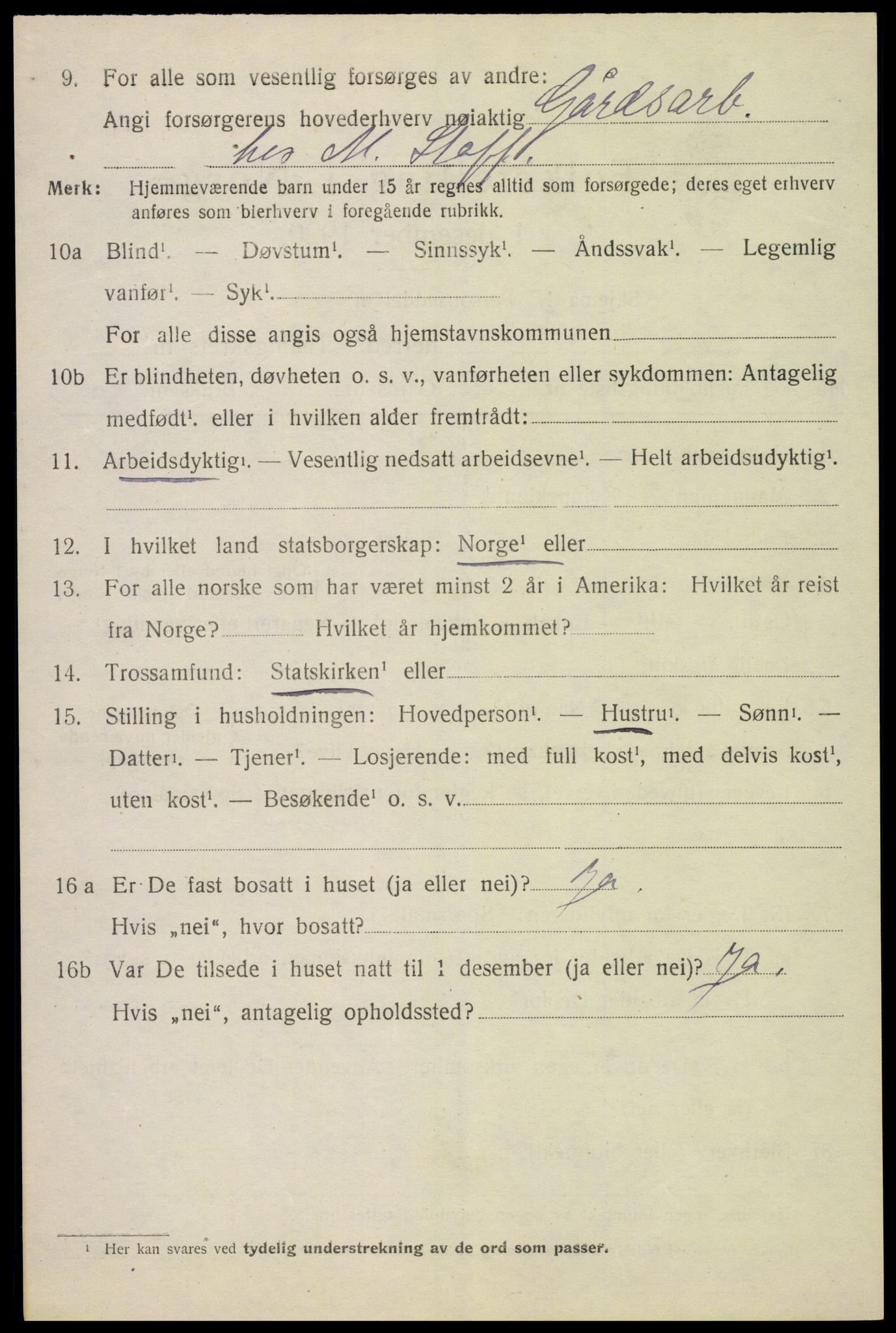 SAH, 1920 census for Nes (Hedmark), 1920, p. 2529