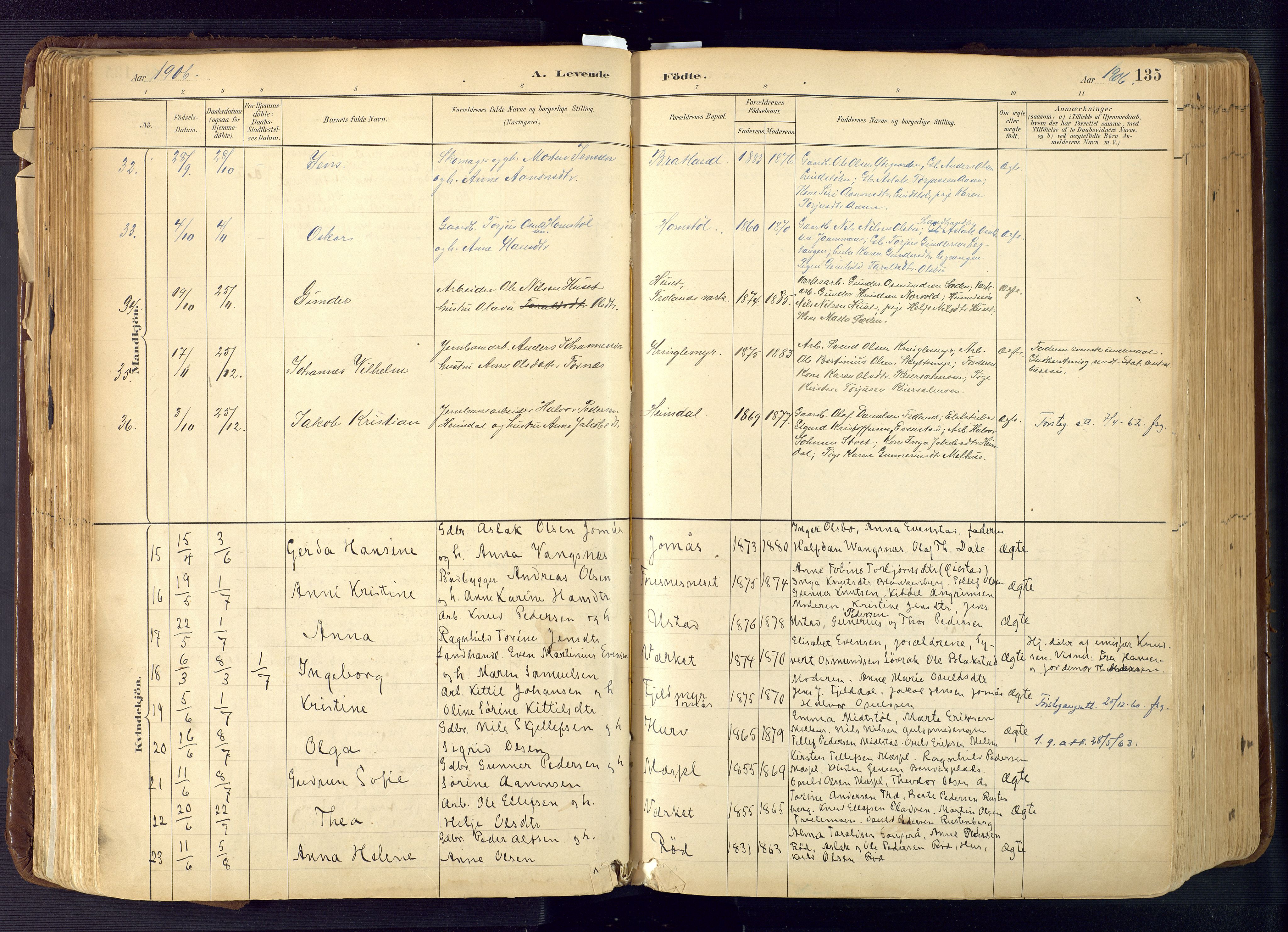 Froland sokneprestkontor, SAK/1111-0013/F/Fa/L0005: Parish register (official) no. A 5, 1882-1921, p. 135