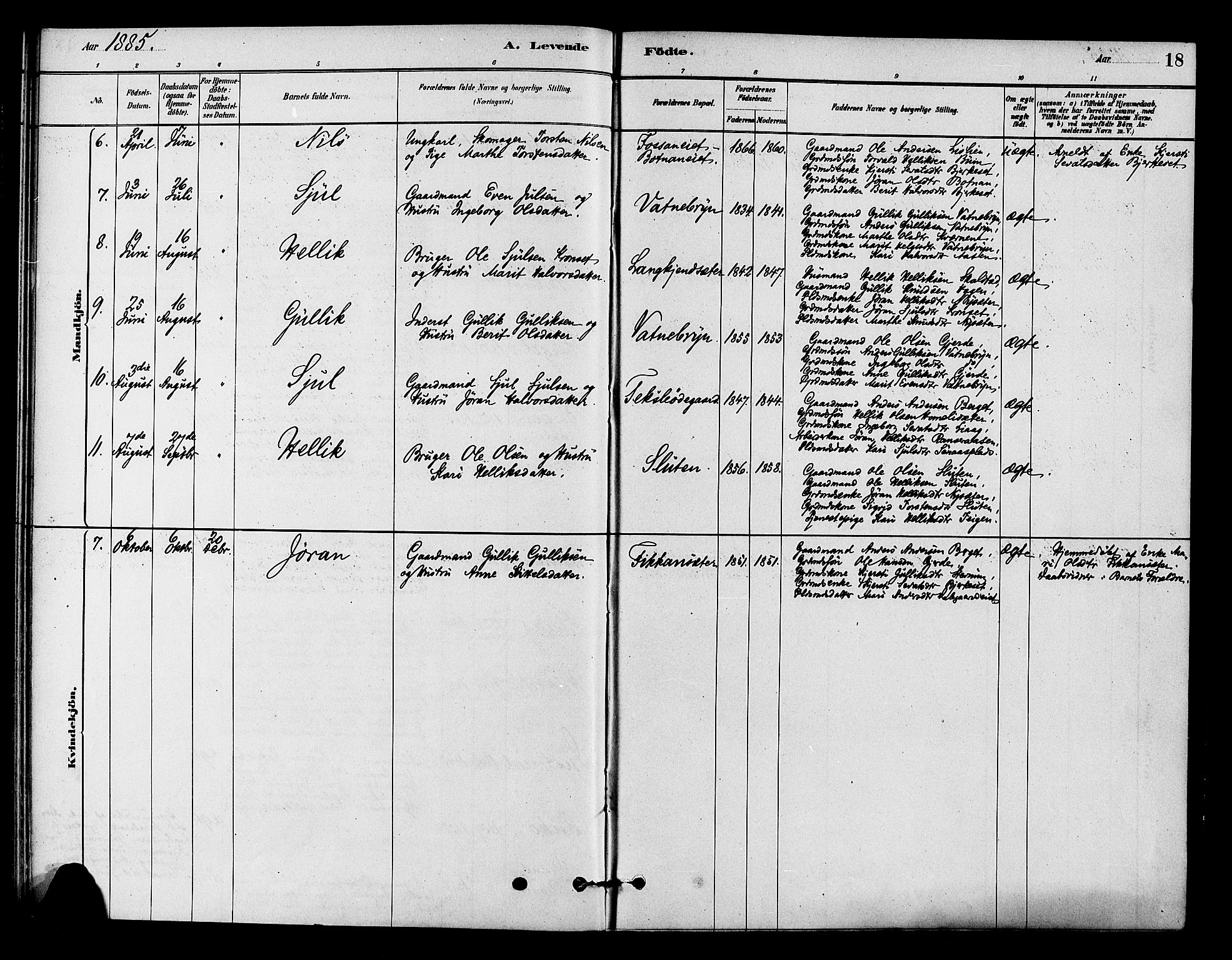 Flesberg kirkebøker, SAKO/A-18/F/Fc/L0001: Parish register (official) no. III 1, 1879-1905, p. 18