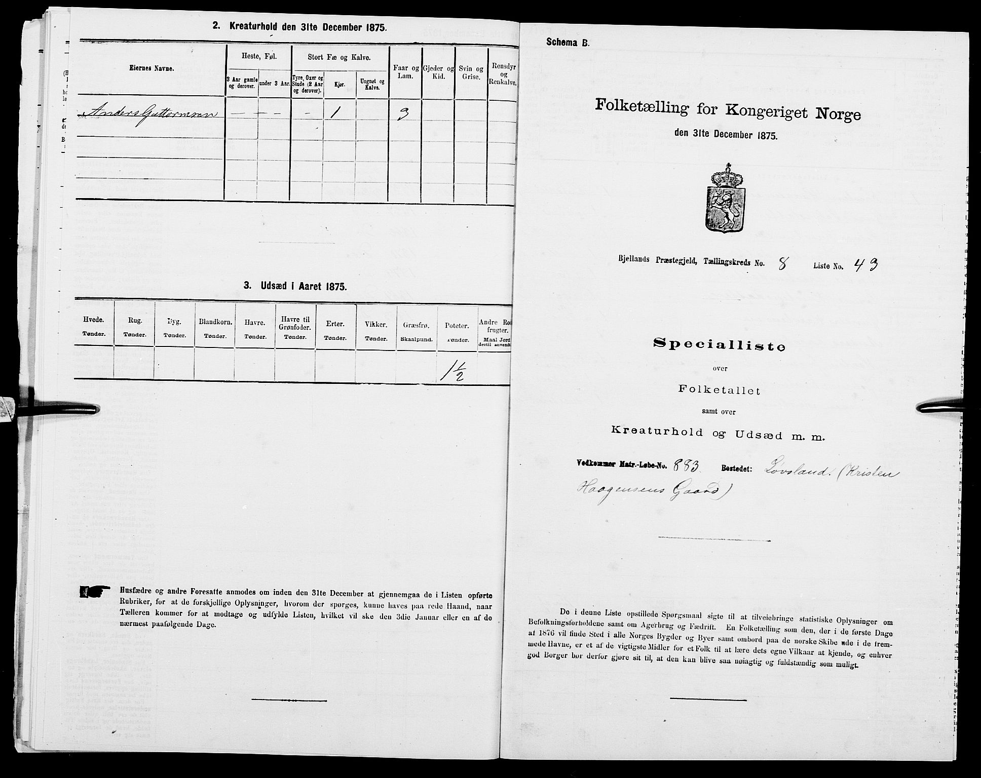 SAK, 1875 census for 1024P Bjelland, 1875, p. 978