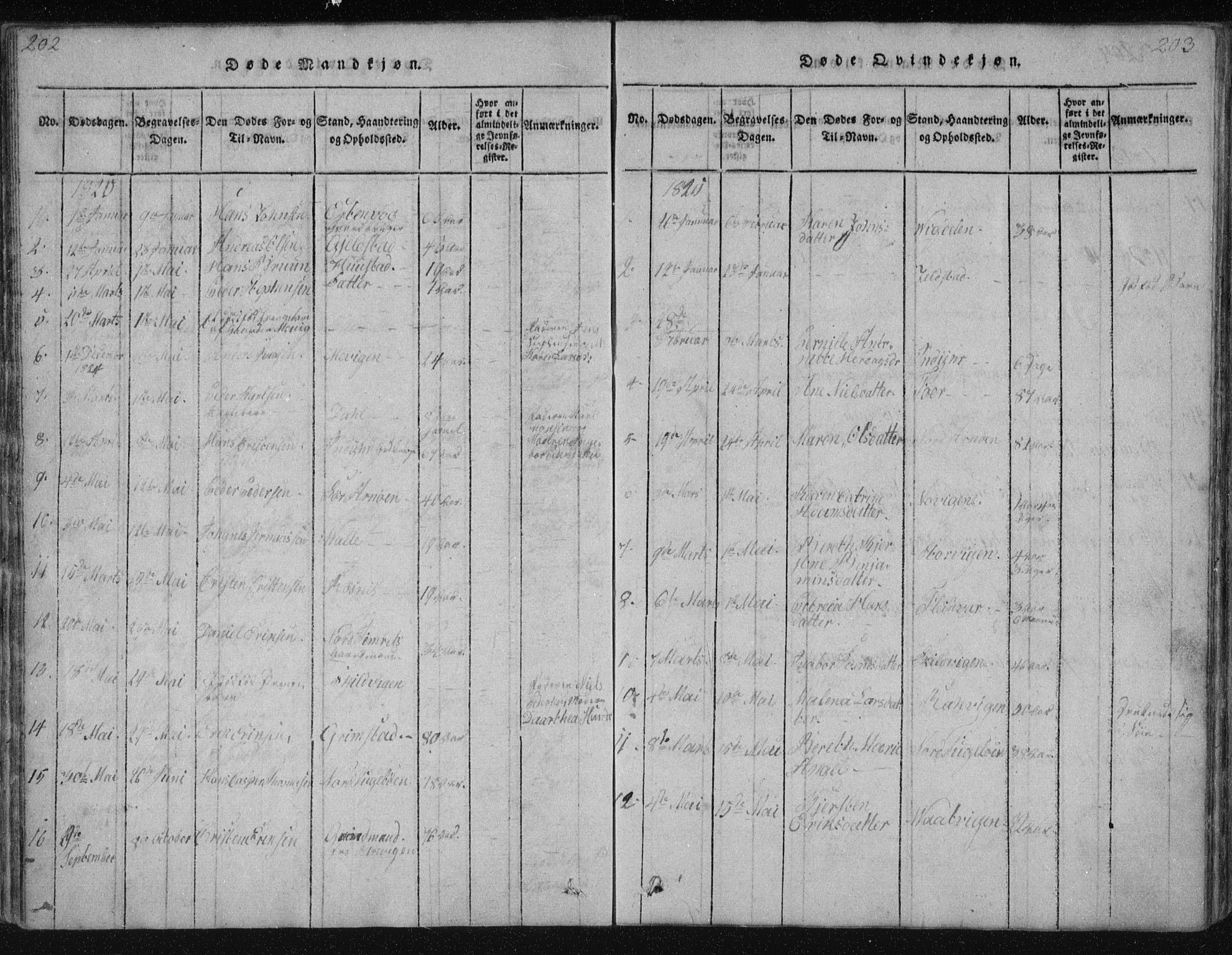 Ministerialprotokoller, klokkerbøker og fødselsregistre - Nordland, AV/SAT-A-1459/805/L0096: Parish register (official) no. 805A03, 1820-1837, p. 202-203