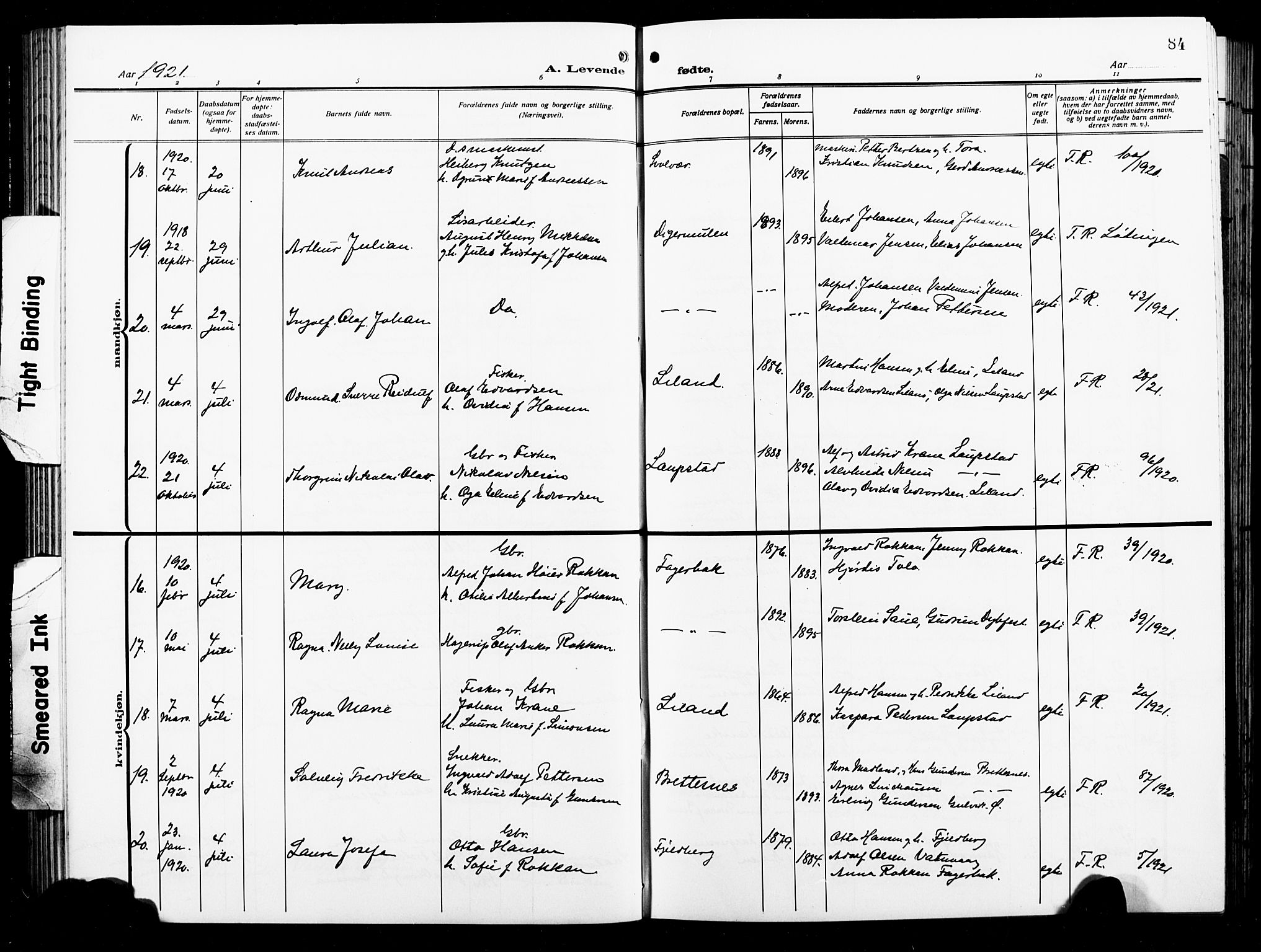 Ministerialprotokoller, klokkerbøker og fødselsregistre - Nordland, AV/SAT-A-1459/874/L1080: Parish register (copy) no. 874C09, 1915-1925, p. 84