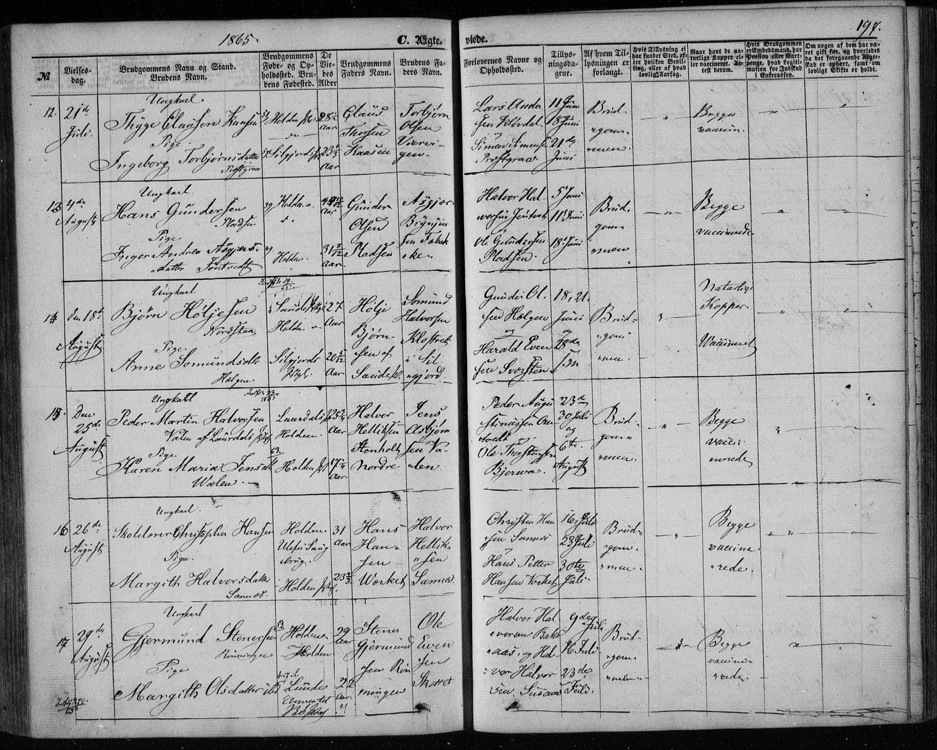 Holla kirkebøker, AV/SAKO-A-272/F/Fa/L0006: Parish register (official) no. 6, 1861-1869, p. 197