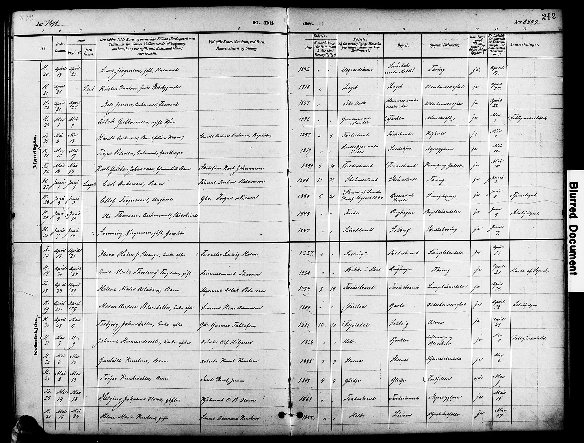 Holt sokneprestkontor, AV/SAK-1111-0021/F/Fb/L0011: Parish register (copy) no. B 11, 1897-1921, p. 242