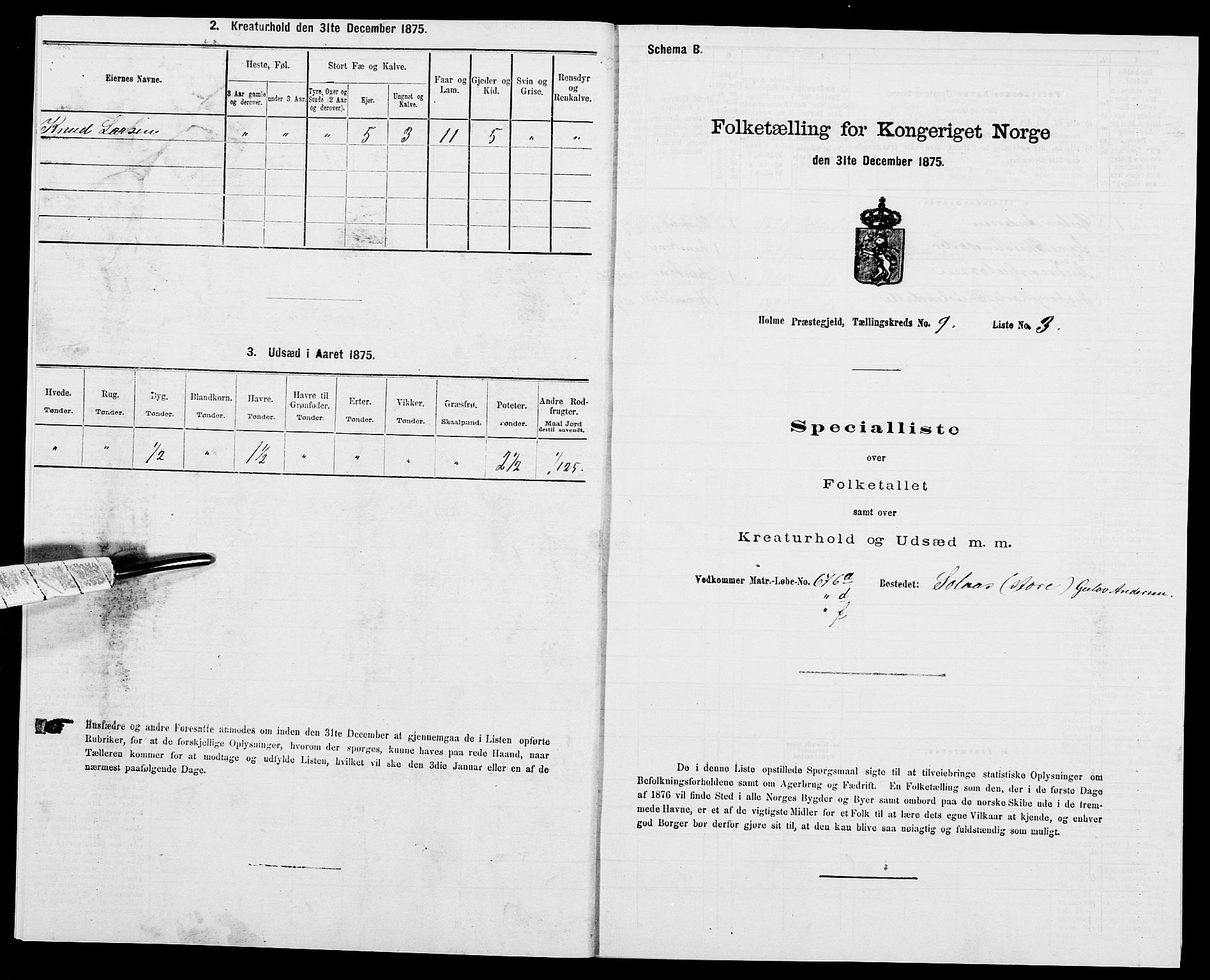 SAK, 1875 census for 1020P Holum, 1875, p. 963