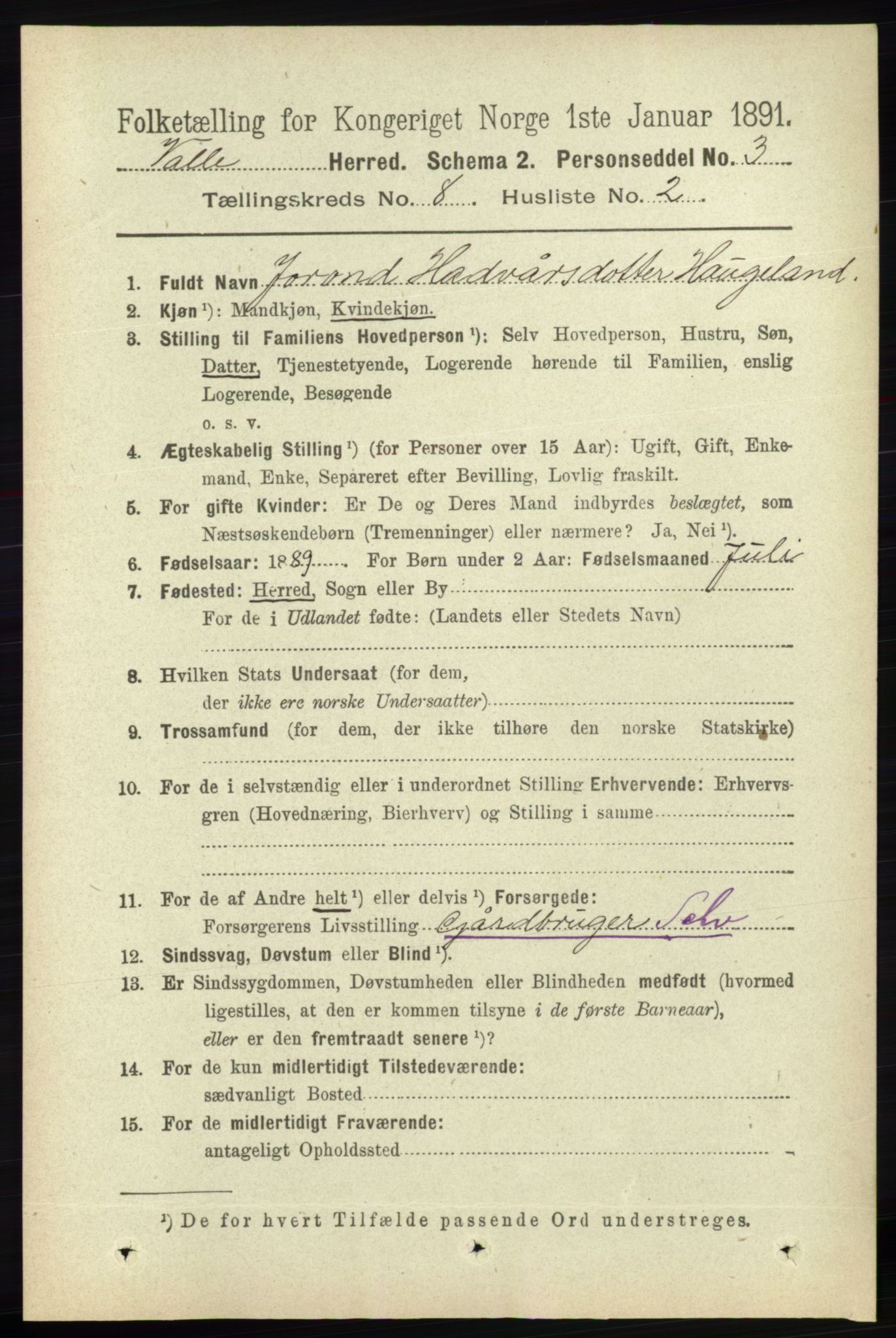 RA, 1891 census for 0940 Valle, 1891, p. 2244