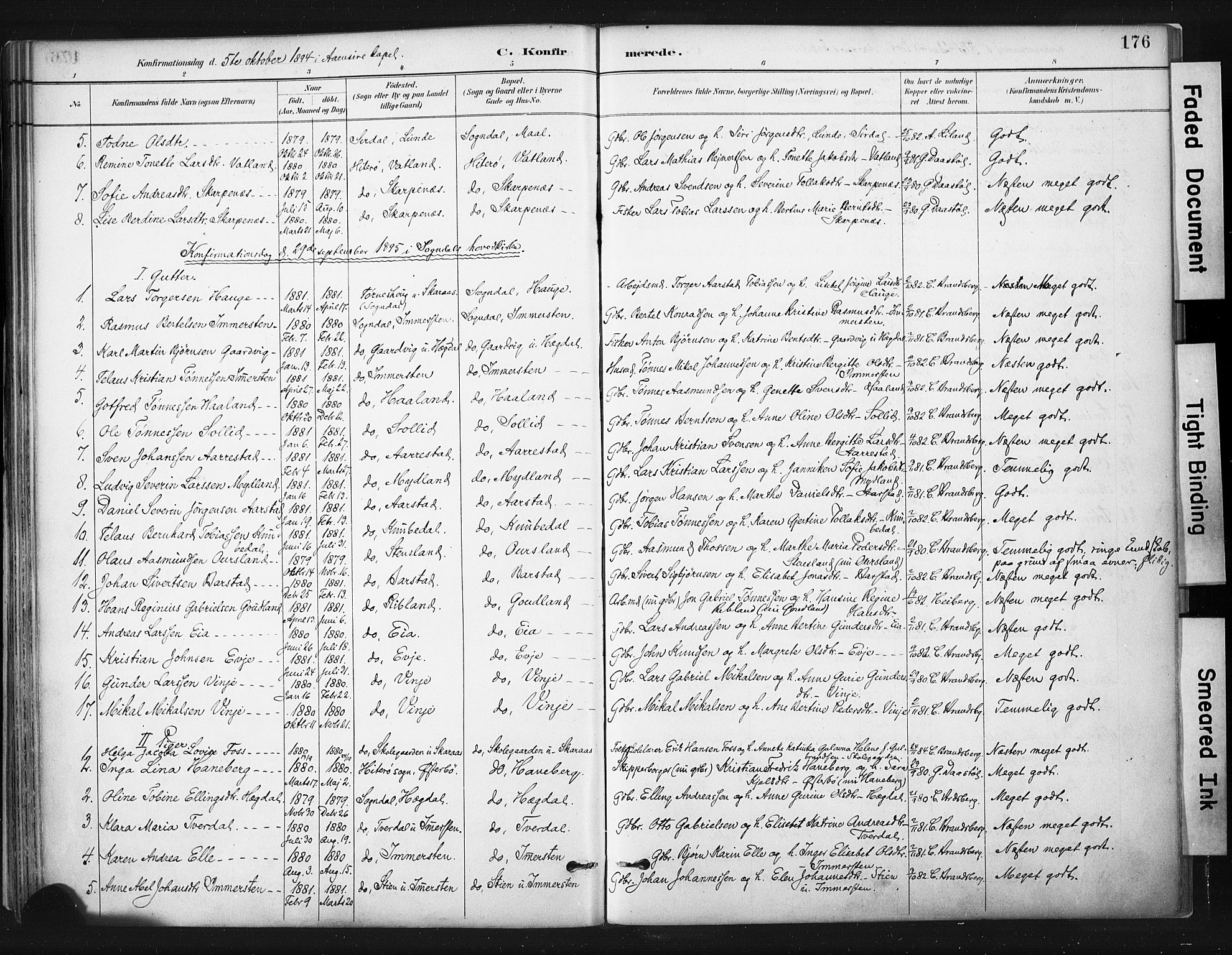 Sokndal sokneprestkontor, SAST/A-101808: Parish register (official) no. A 11.1, 1887-1905, p. 176