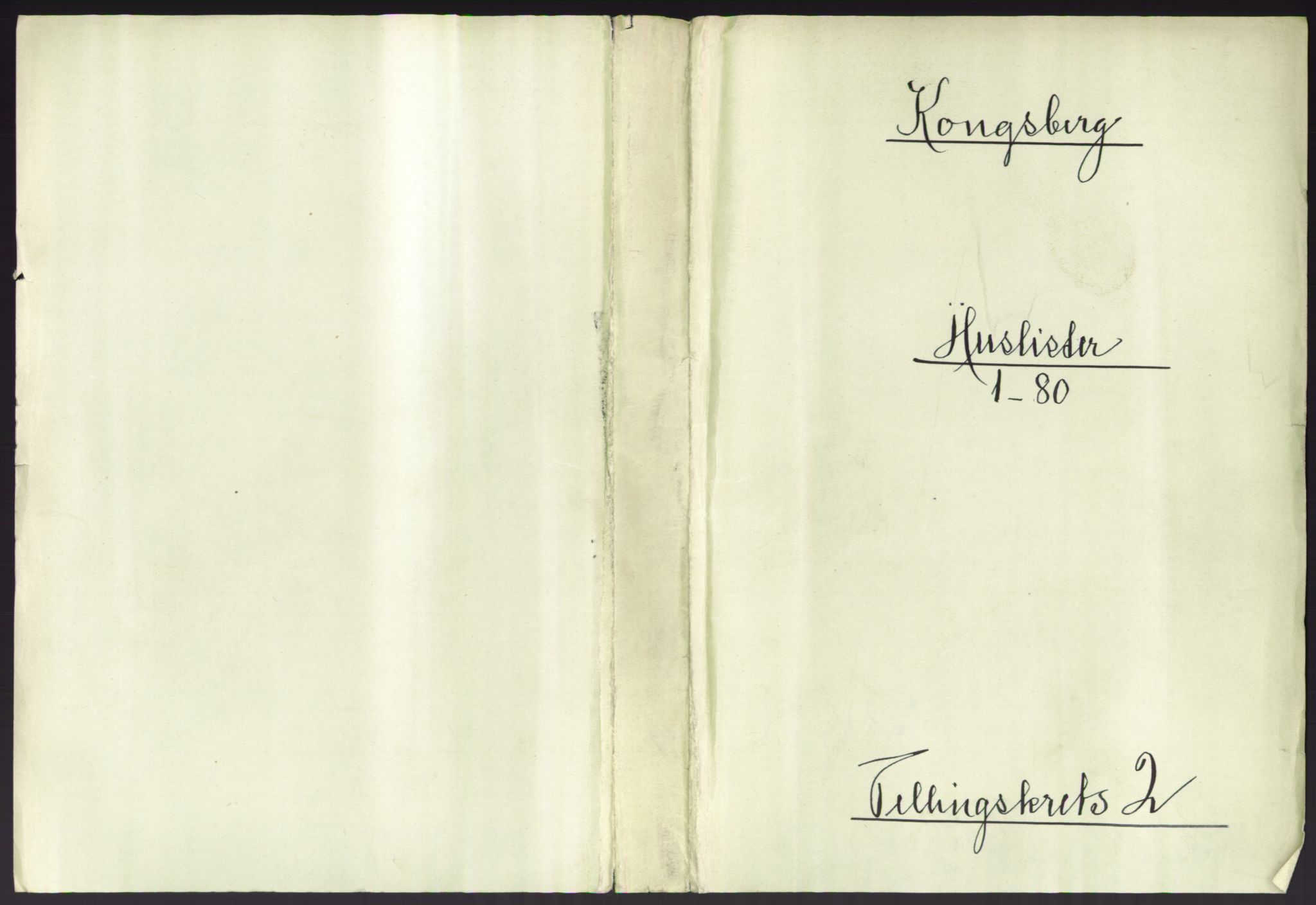 RA, 1891 census for 0604 Kongsberg, 1891, p. 191