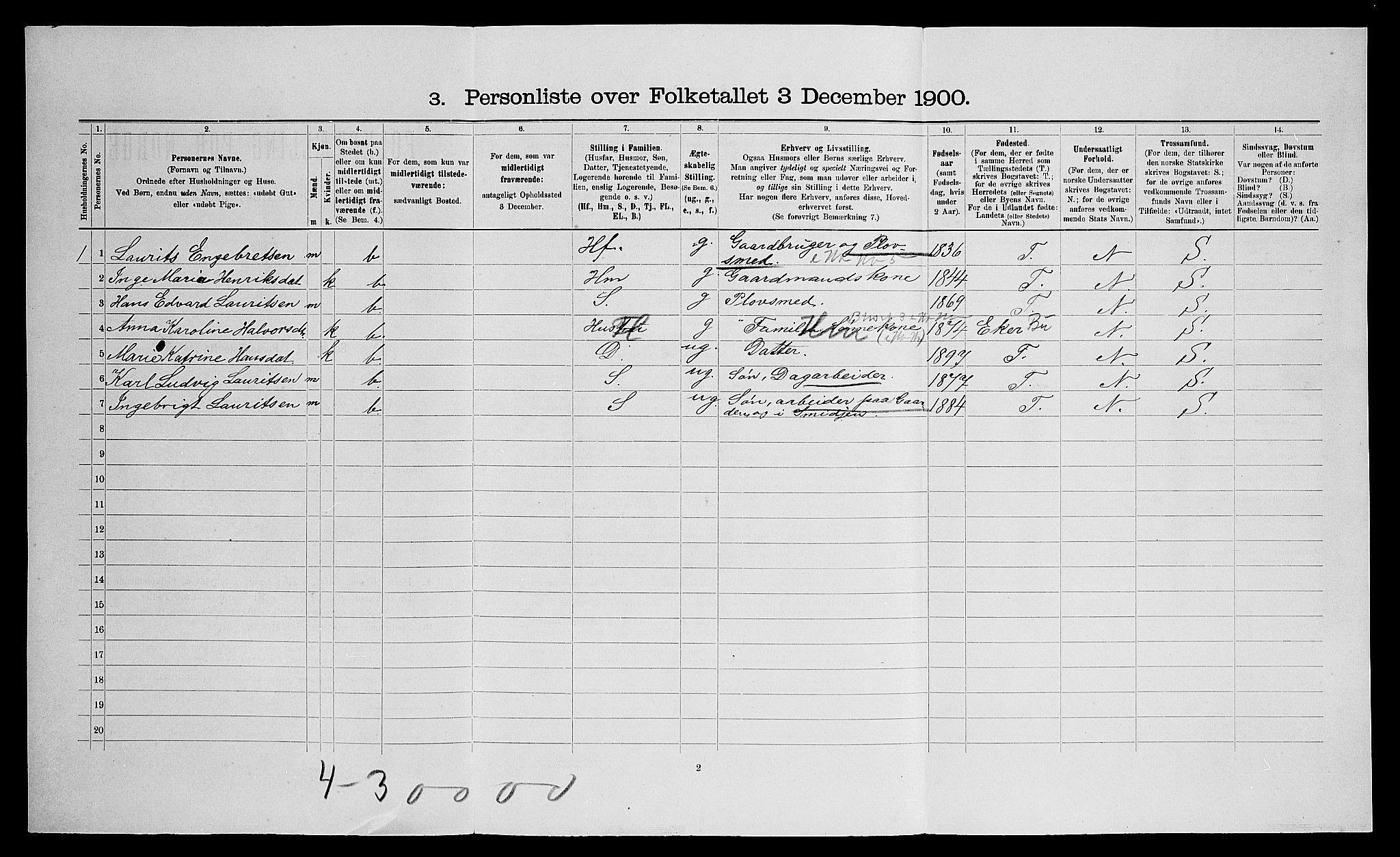 SAO, 1900 census for Nes, 1900