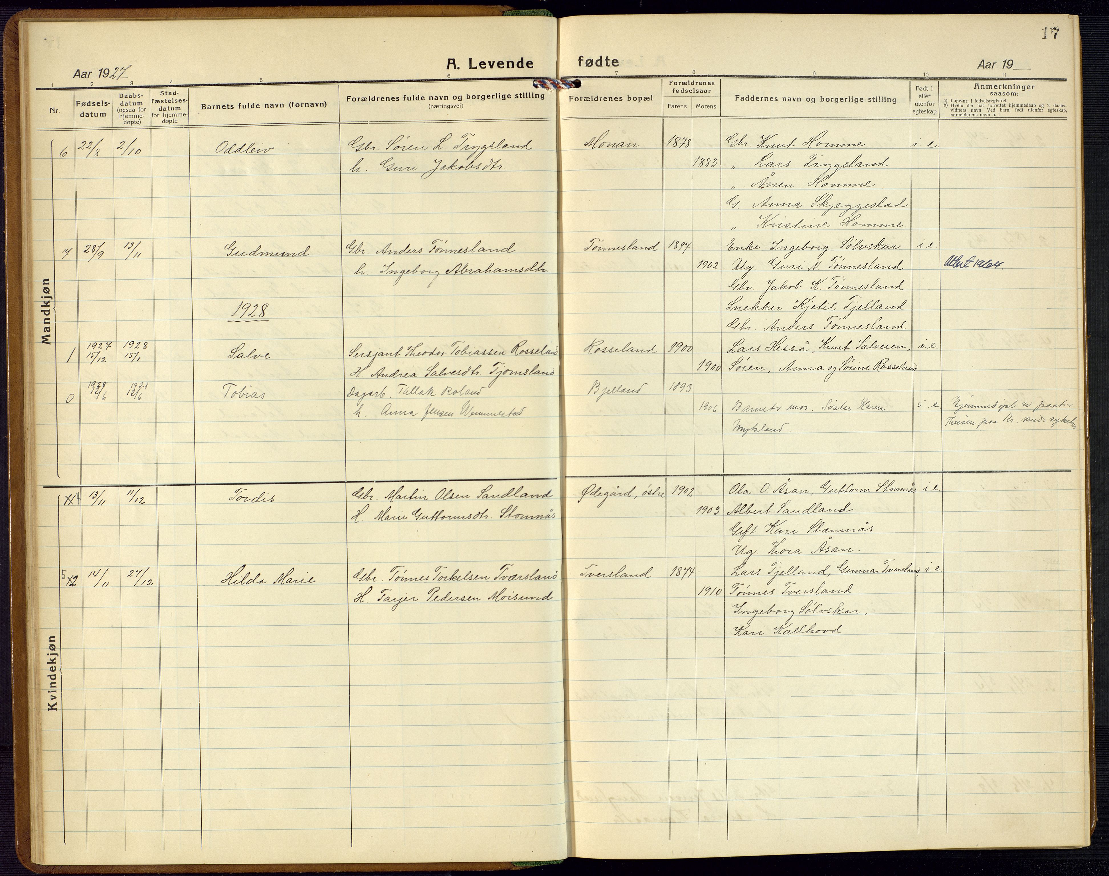 Bjelland sokneprestkontor, SAK/1111-0005/F/Fb/Fba/L0006: Parish register (copy) no. B 6, 1923-1956, p. 17