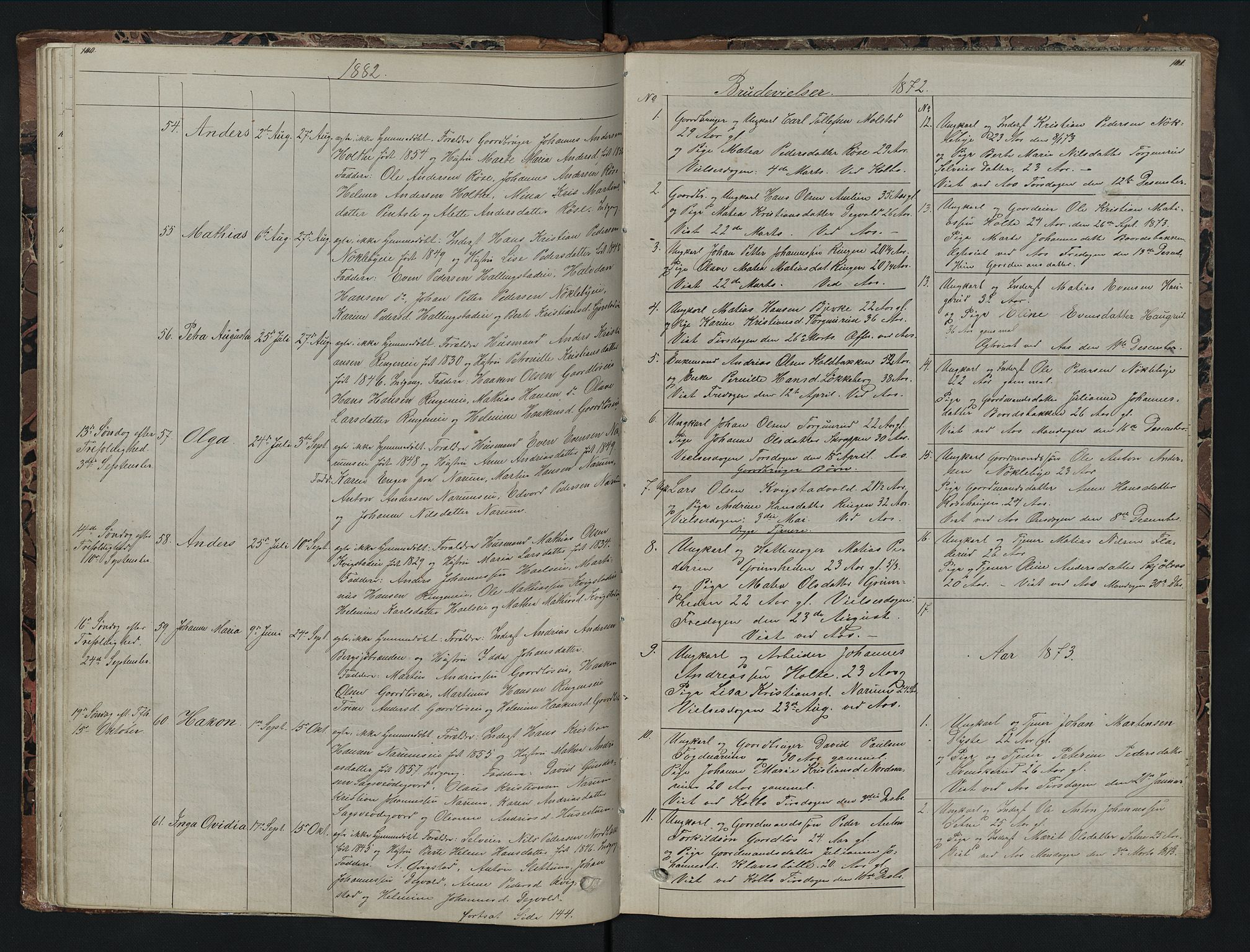 Vestre Toten prestekontor, SAH/PREST-108/H/Ha/Hab/L0007: Parish register (copy) no. 7, 1872-1900, p. 100-101