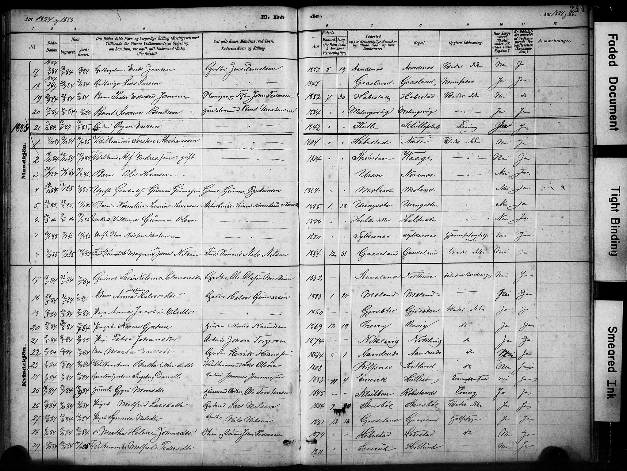 Finnås sokneprestembete, SAB/A-99925/H/Ha/Hab/Habb/L0003: Parish register (copy) no. B 3, 1882-1897, p. 244