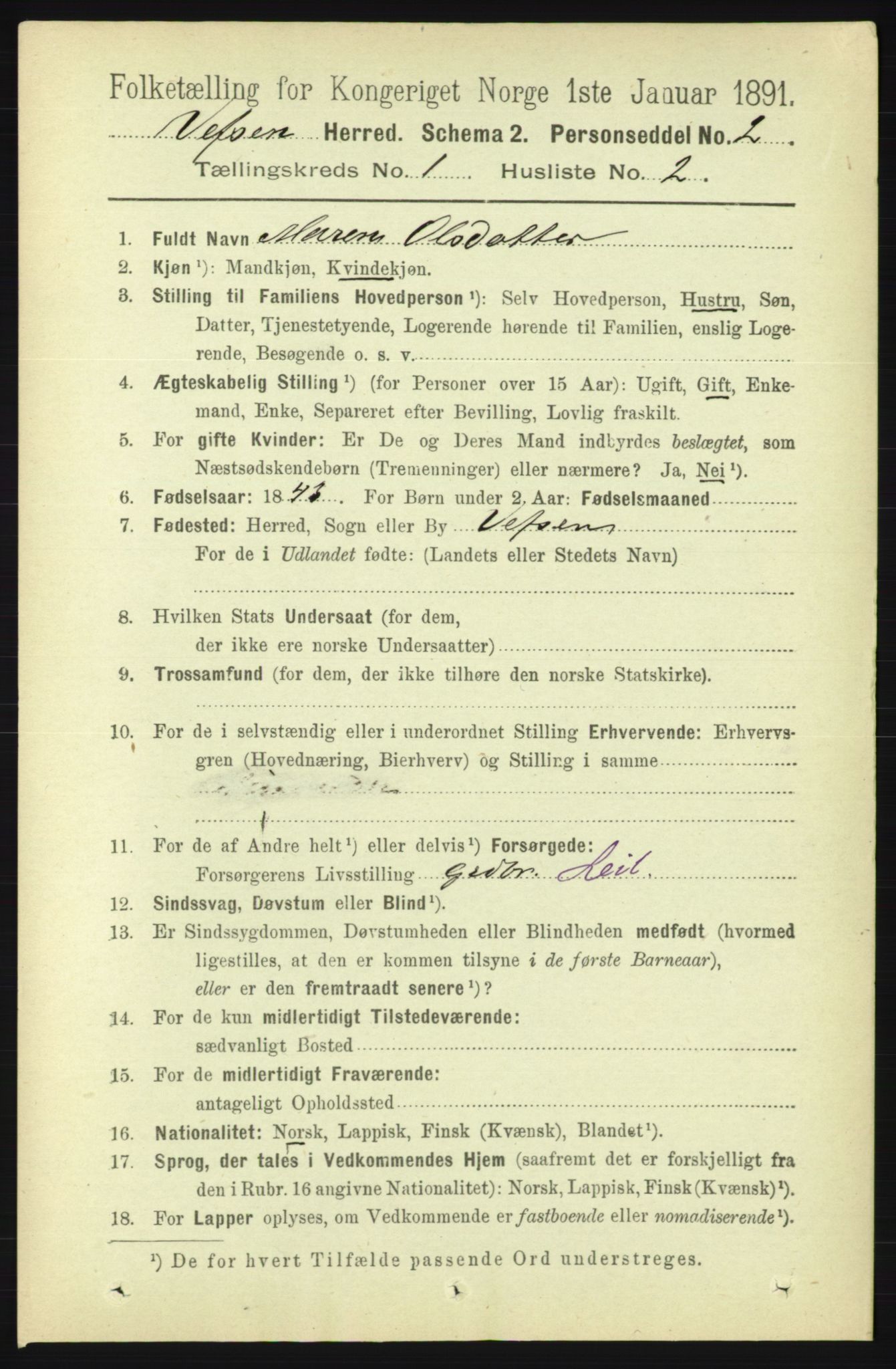 RA, 1891 census for 1824 Vefsn, 1891, p. 102