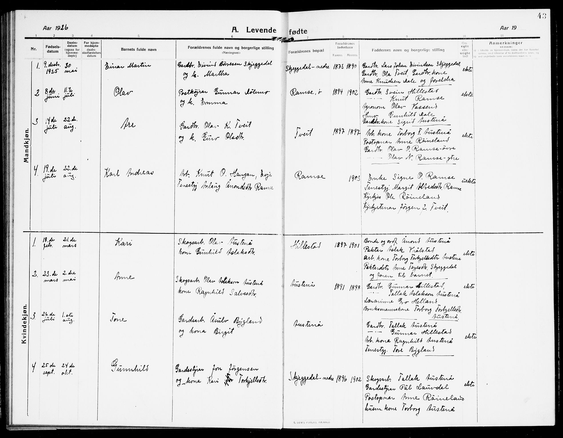 Åmli sokneprestkontor, SAK/1111-0050/F/Fb/Fbb/L0003: Parish register (copy) no. B 3, 1906-1941, p. 43