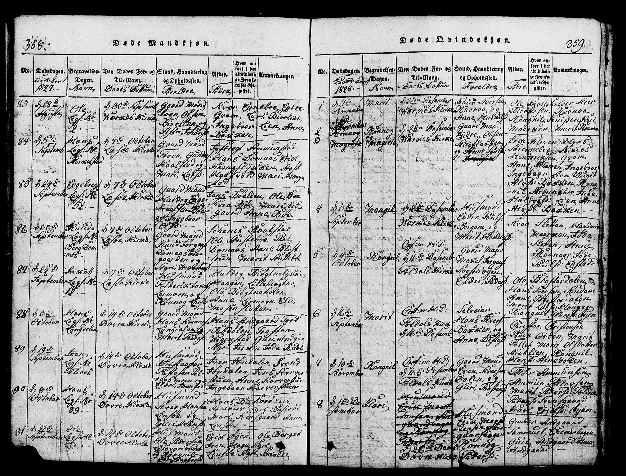 Lesja prestekontor, AV/SAH-PREST-068/H/Ha/Hab/L0001: Parish register (copy) no. 1, 1820-1831, p. 358-359