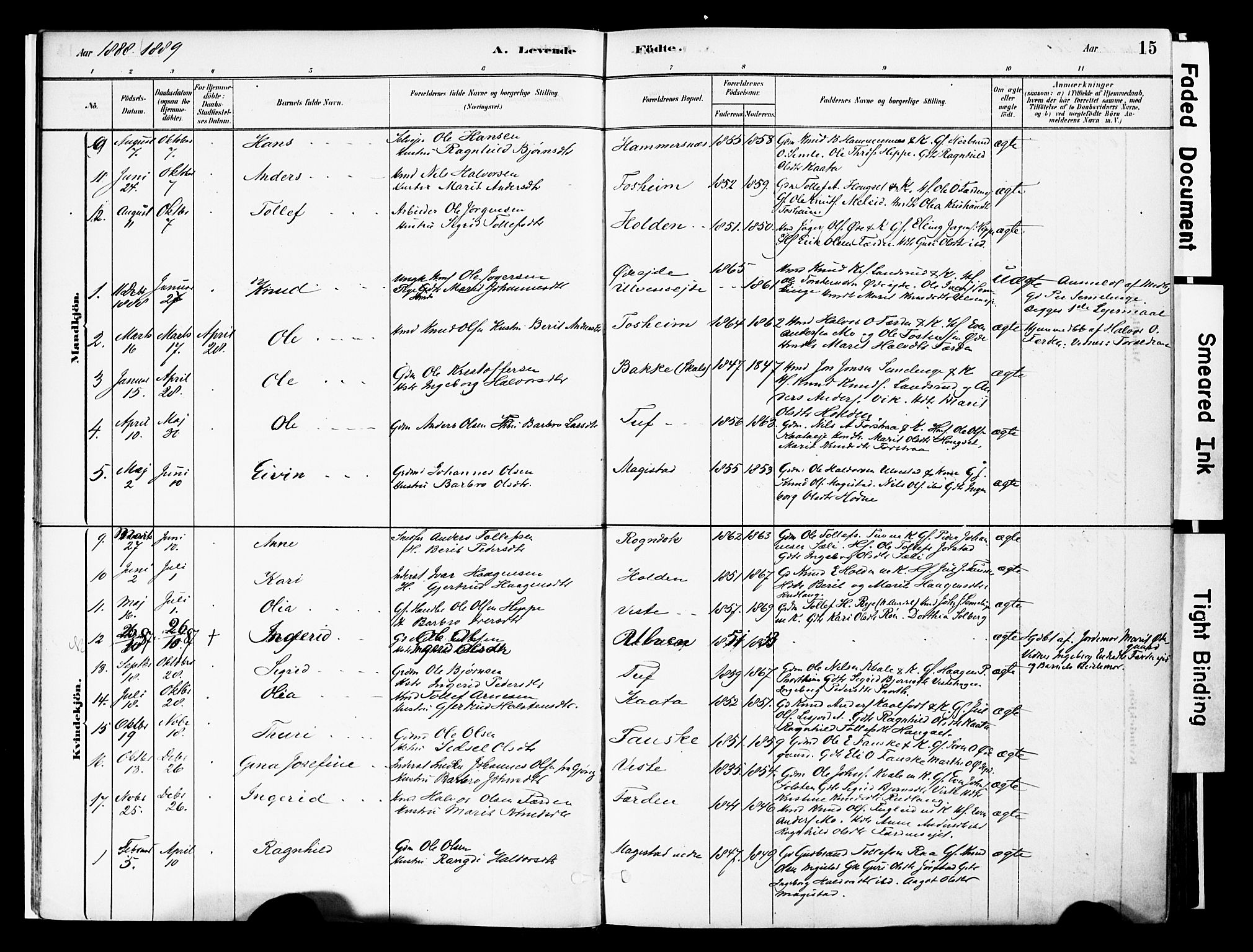 Vestre Slidre prestekontor, SAH/PREST-136/H/Ha/Haa/L0006: Parish register (official) no. 6, 1881-1912, p. 15