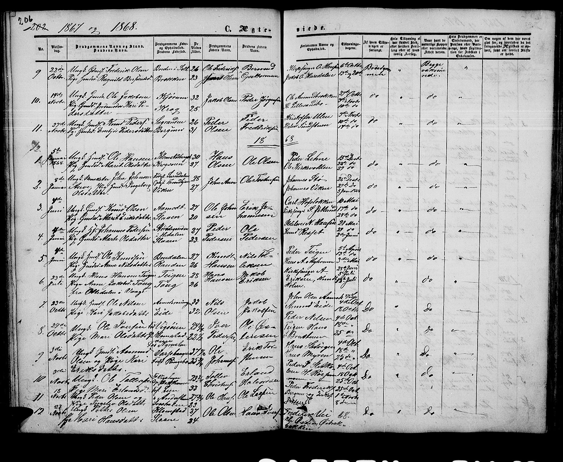 Nord-Fron prestekontor, SAH/PREST-080/H/Ha/Hab/L0003: Parish register (copy) no. 3, 1851-1886, p. 206
