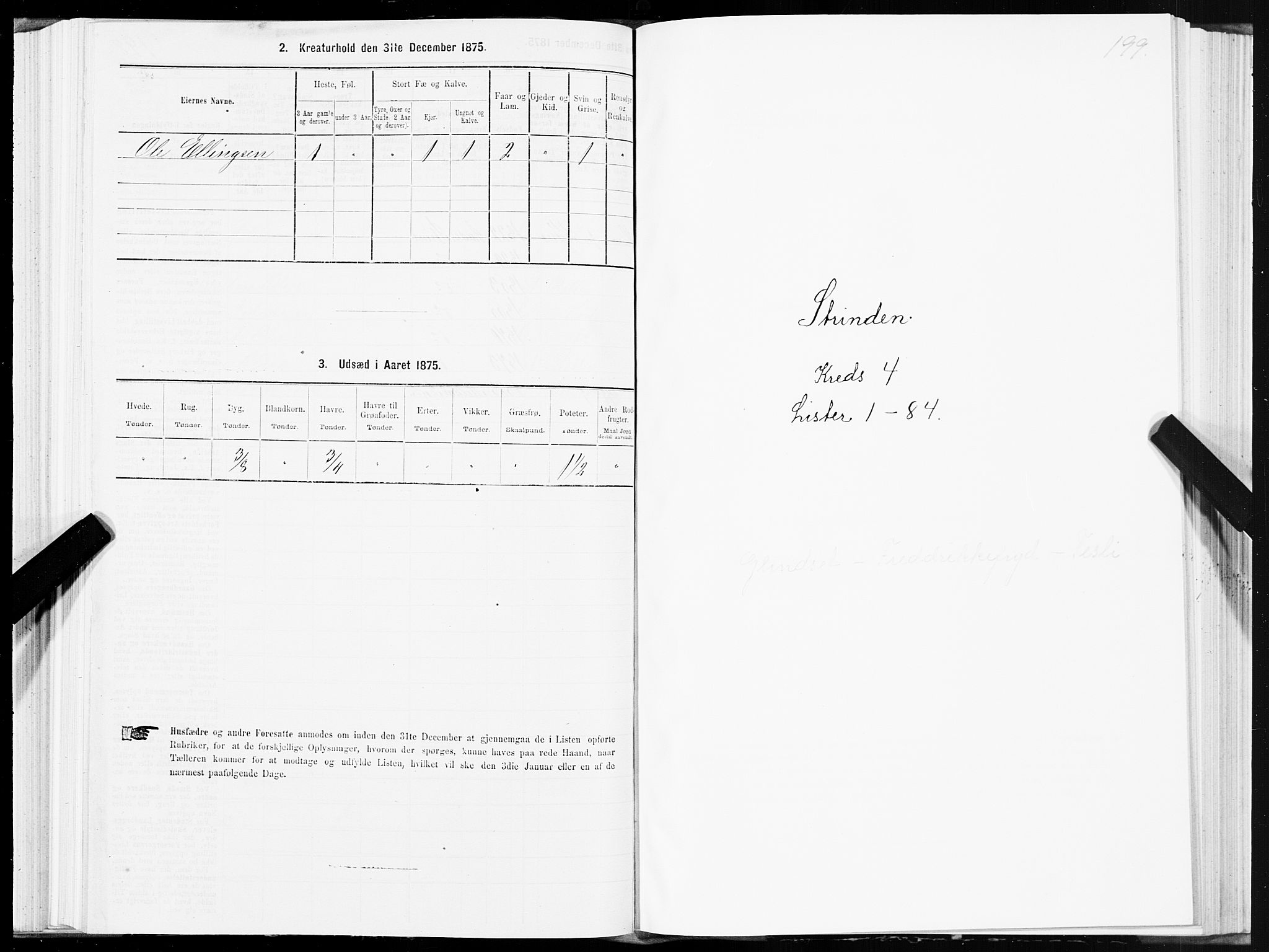 SAT, 1875 census for 1660P Strinda, 1875, p. 2199