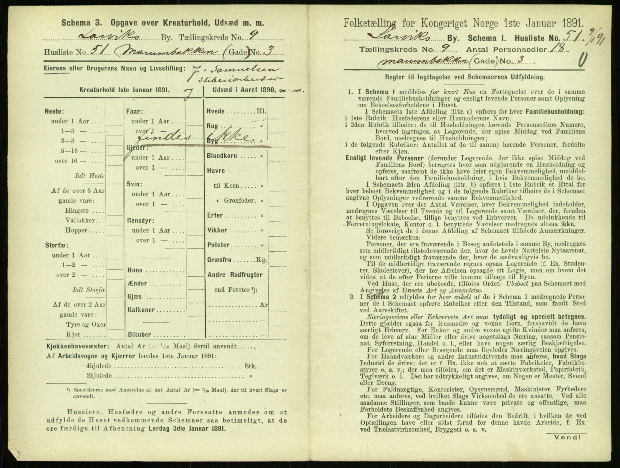 RA, 1891 census for 0707 Larvik, 1891, p. 1221