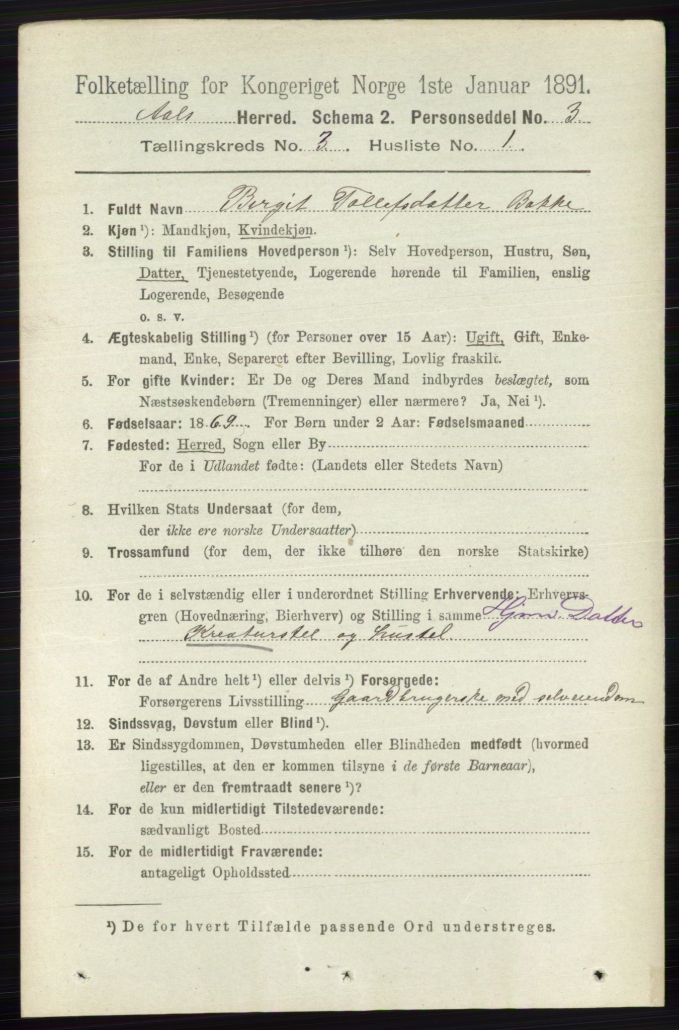 RA, 1891 census for 0619 Ål, 1891, p. 657